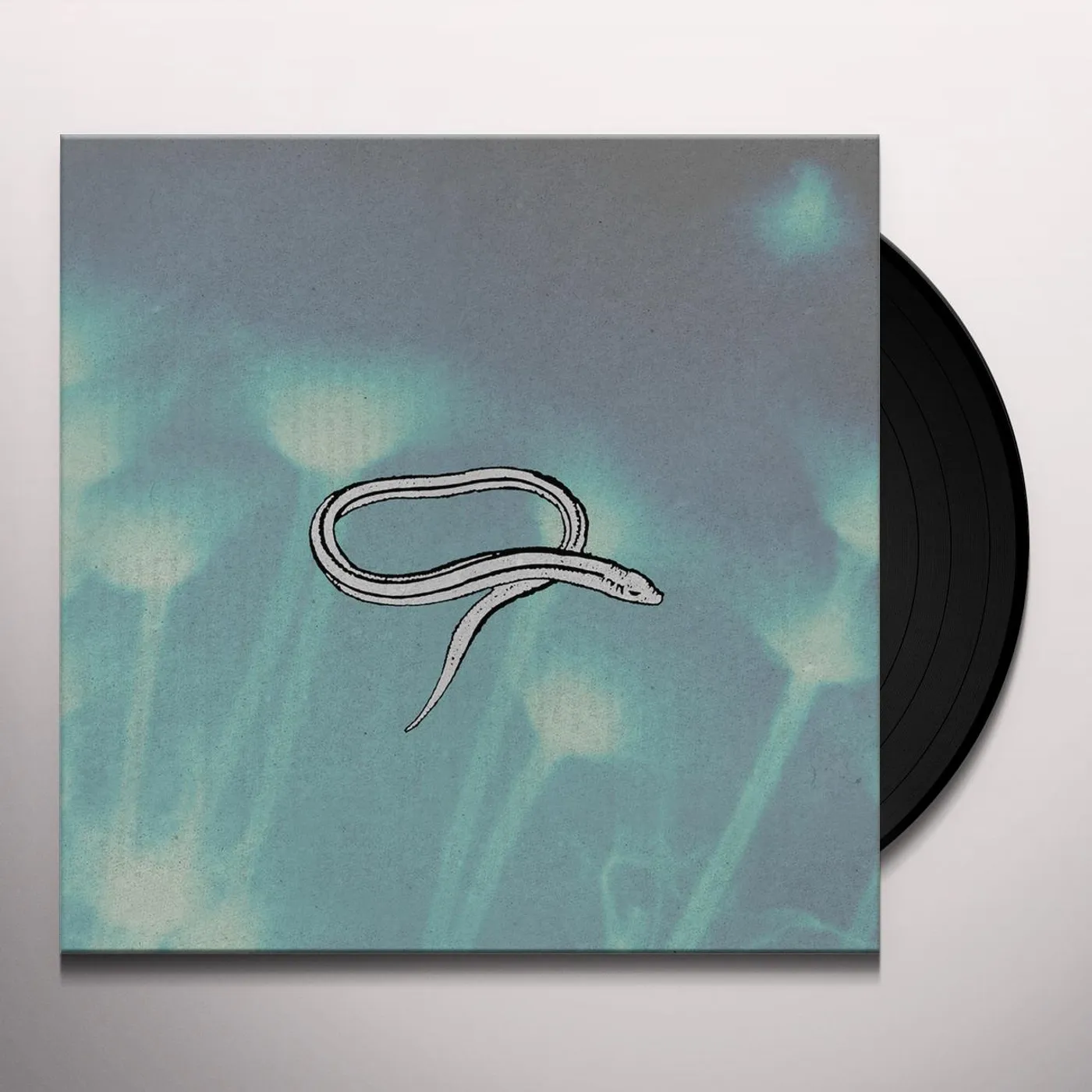 Crooked Fingers Bring On The Snakes Vinyl Record