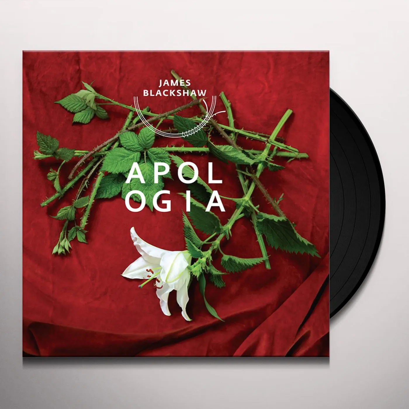 James Blackshaw Apologia Vinyl Record