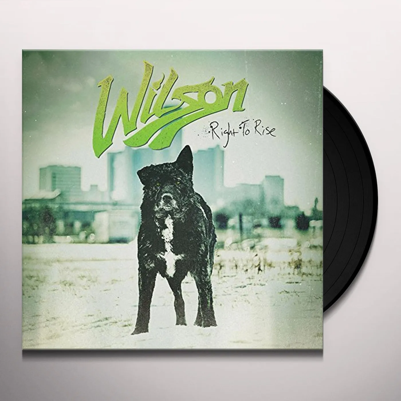 Wilson Right To Rise Vinyl Record