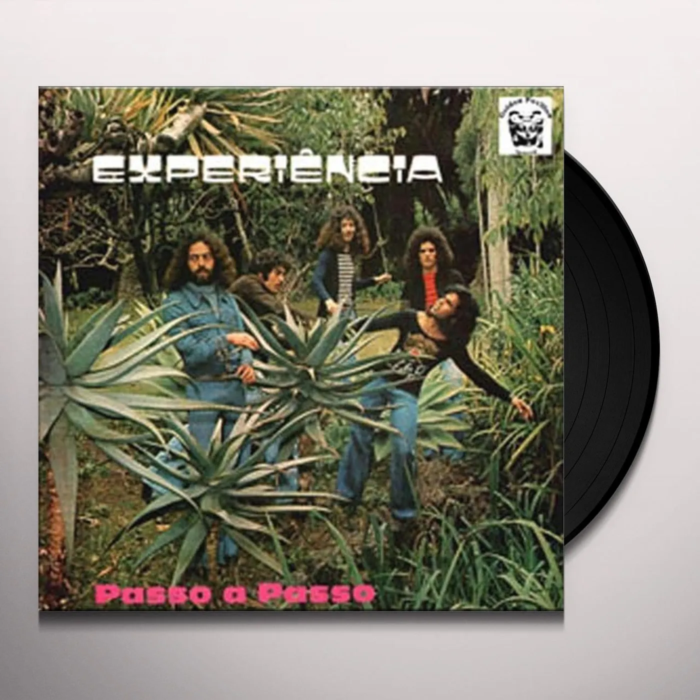 Experiencia Passo A Passo Vinyl Record