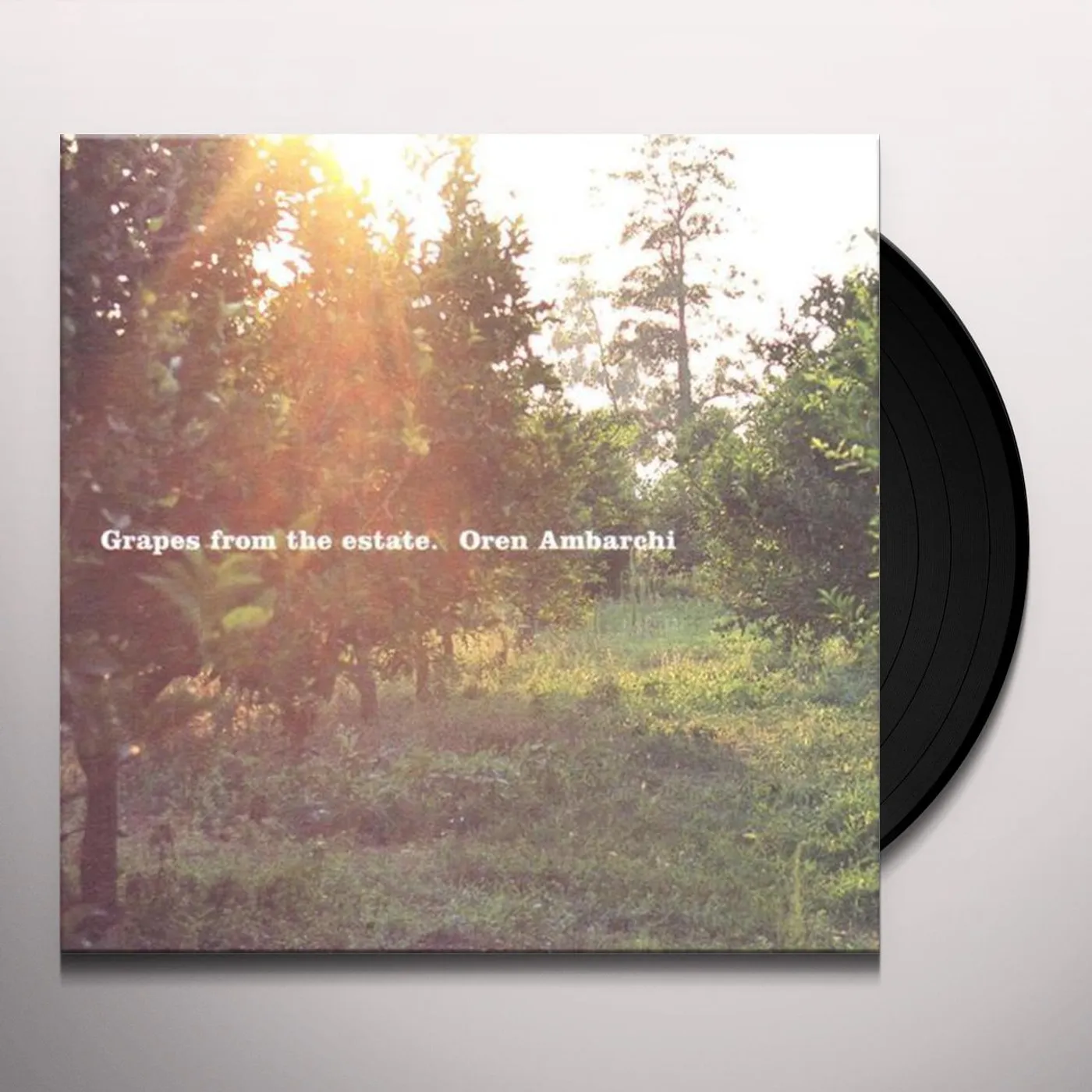 Oren Ambarchi Grapes from the Estate Vinyl Record