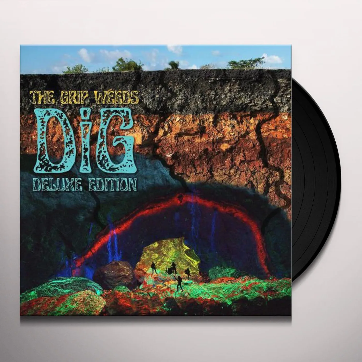 The Grip Weeds DiG Vinyl Record