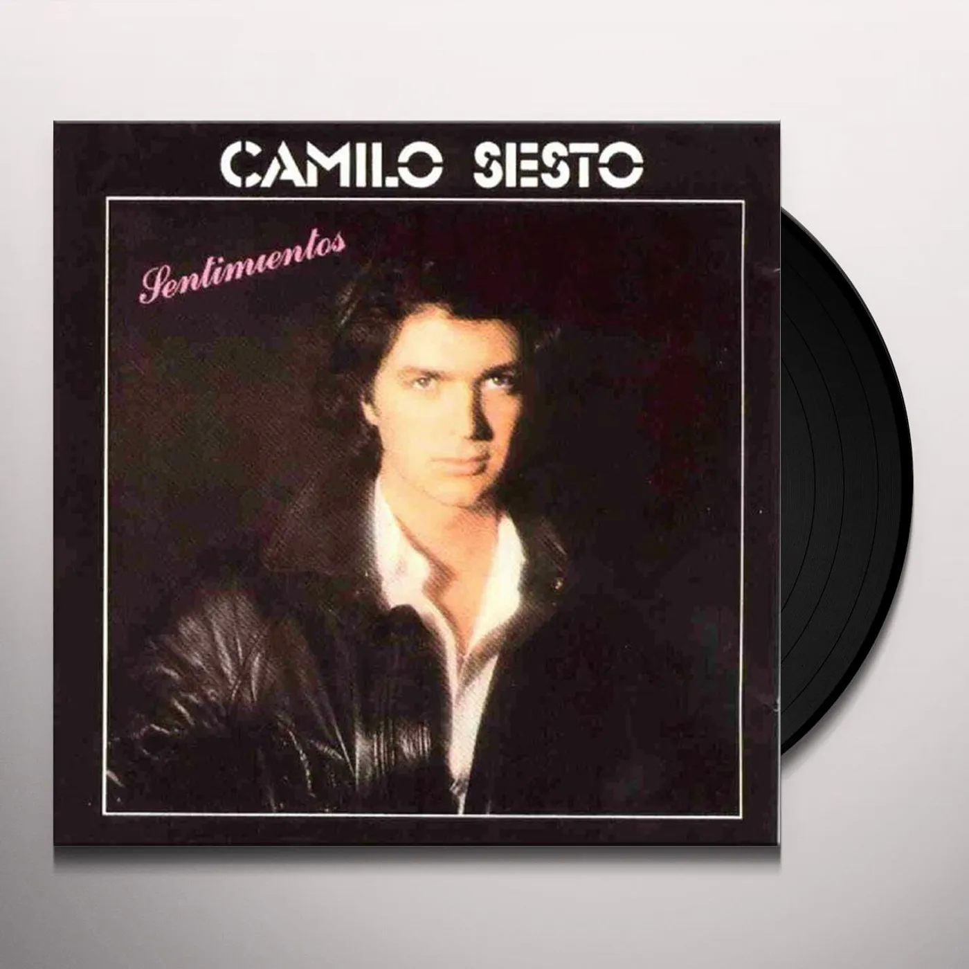 Camilo Sesto Sentimientos Vinyl Record