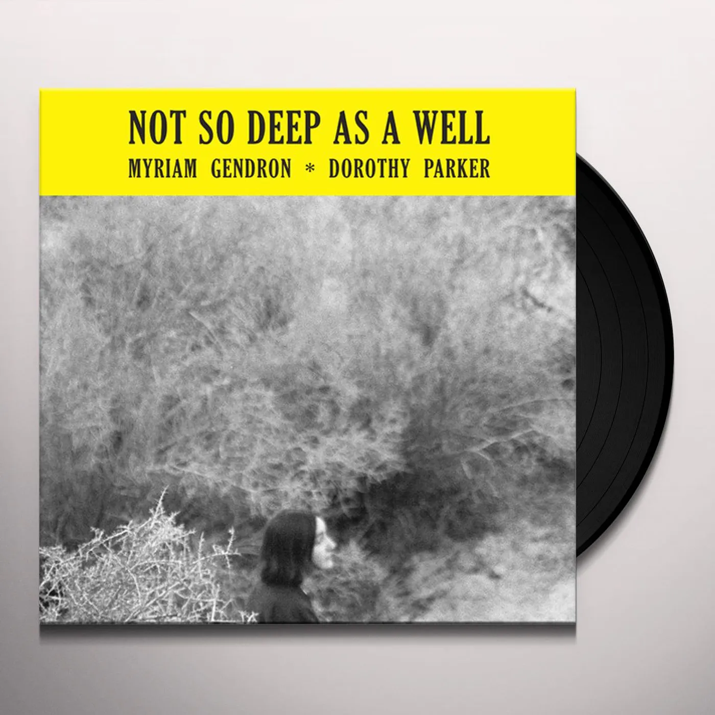 Myriam Gendron Not So Deep As A Well Vinyl Record