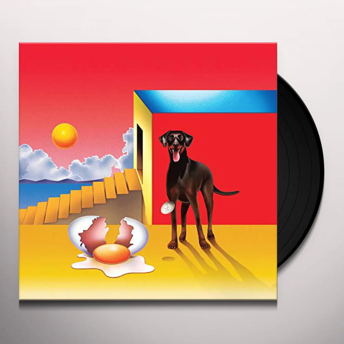 Agar Agar DOG & THE FUTURE Vinyl Record