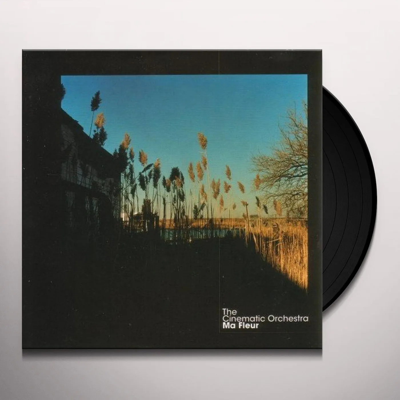 The Cinematic Orchestra Ma Fleur Vinyl Record