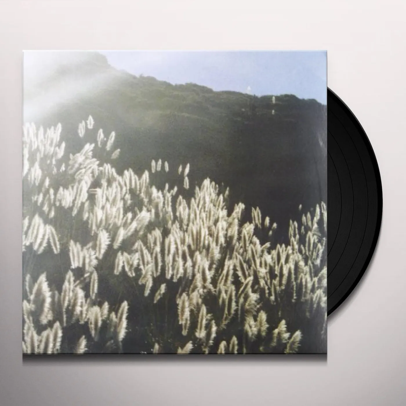 The Blithe Sons GREAT ORTHOCHROMATIC WHEEL Vinyl Record