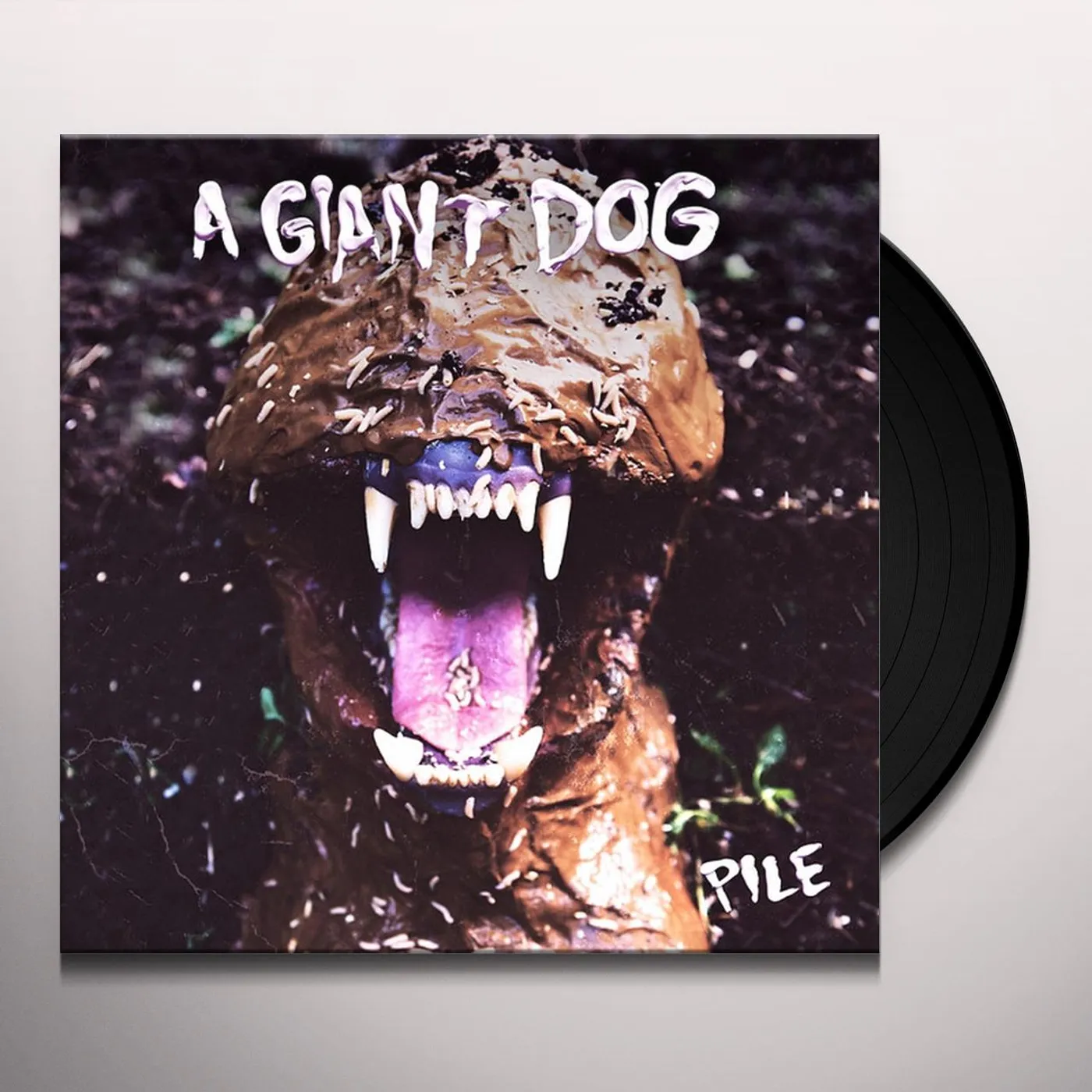 A Giant Dog Pile Vinyl Record