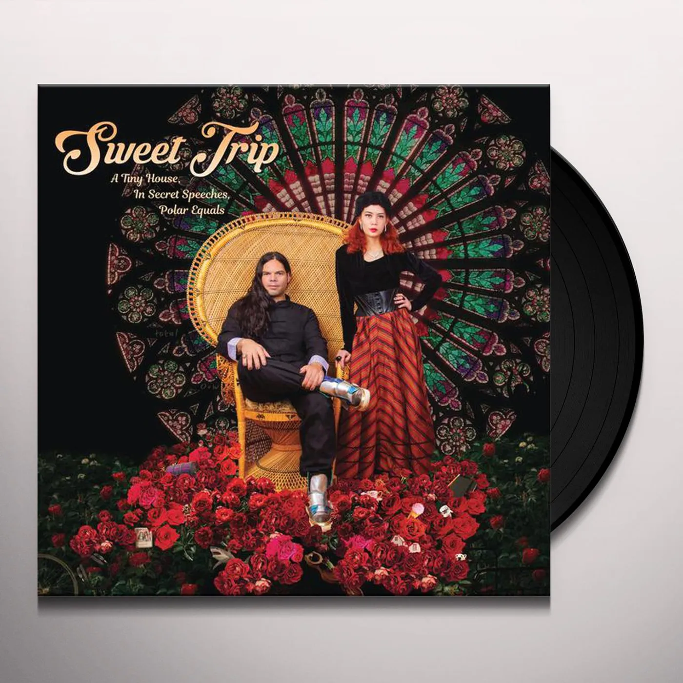 Sweet Trip TINY HOUSE IN SECRET SPEECHES POLAR EQUALS-COVER A Vinyl Record