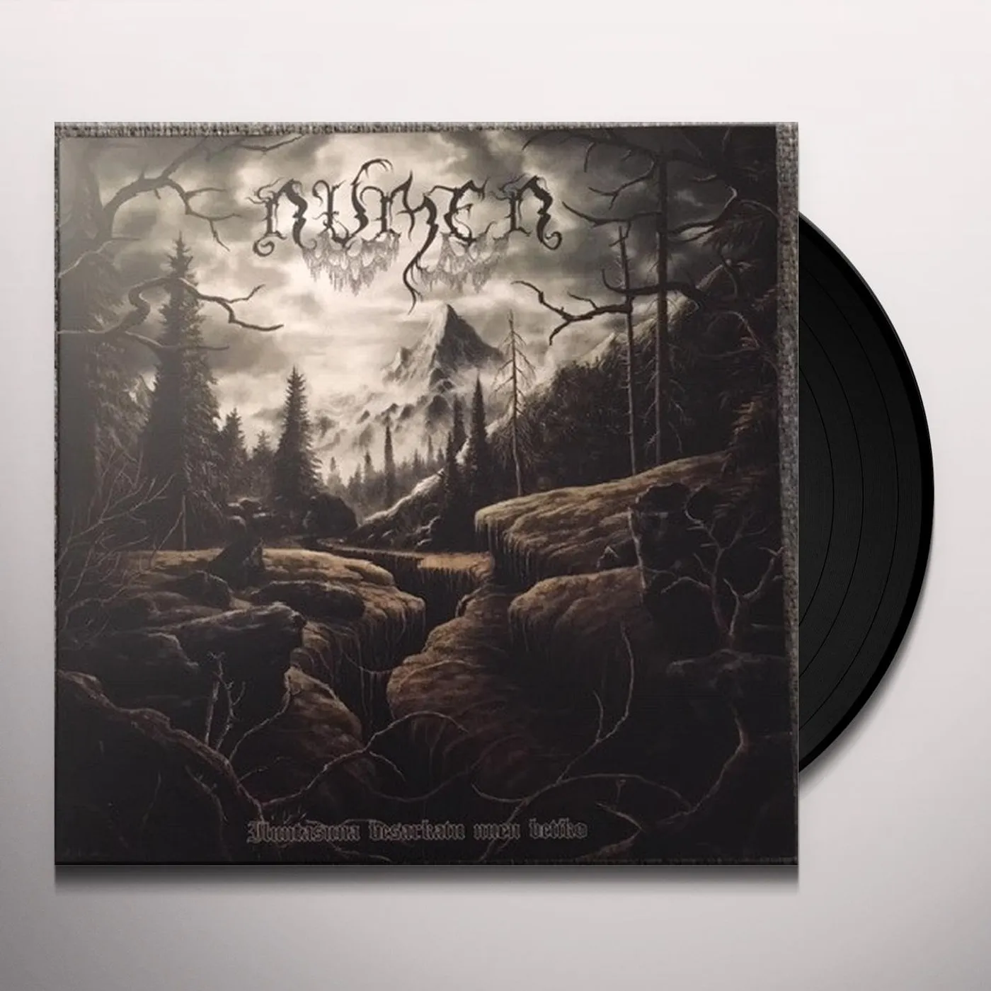 Numen ILUNTASUNA BESARKATU NUEN BETIKO Vinyl Record