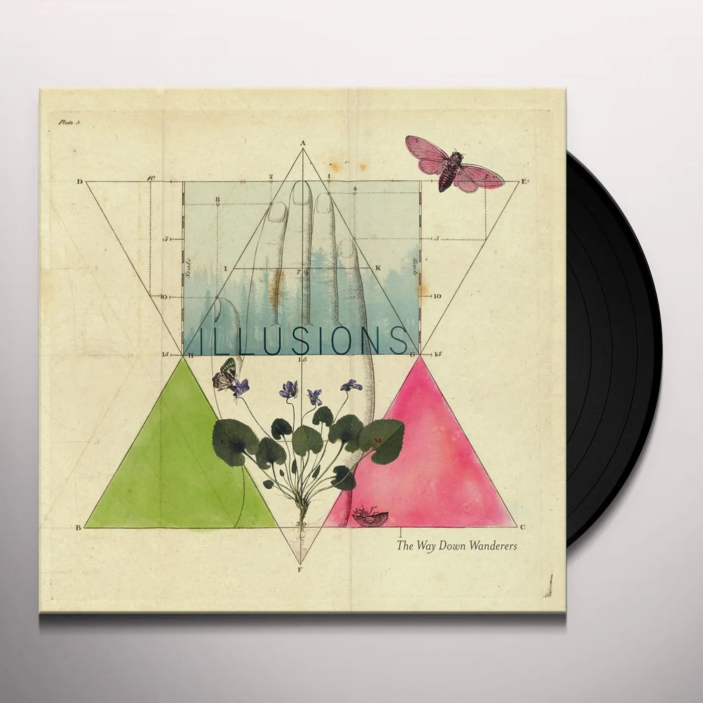 The Way Down Wanderers illusions Vinyl Record