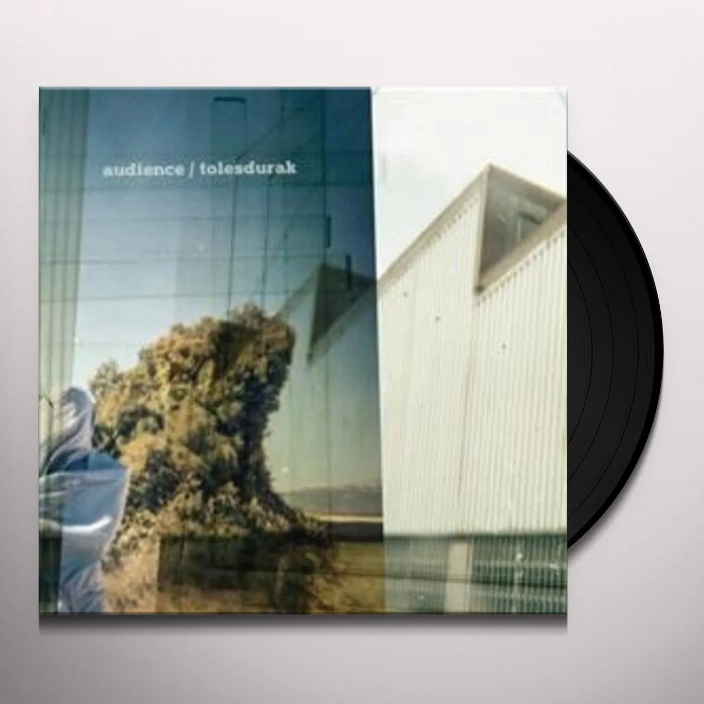Audience TOLESDURAK Vinyl Record