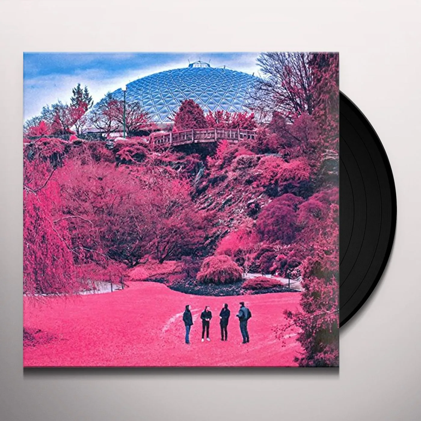 The Zolas Swooner Vinyl Record