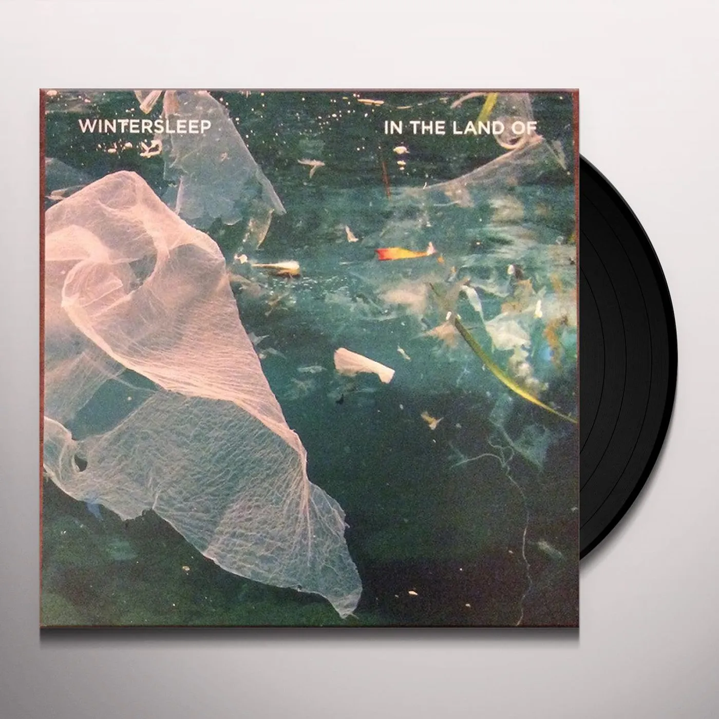 Wintersleep In The Land Of Vinyl Record