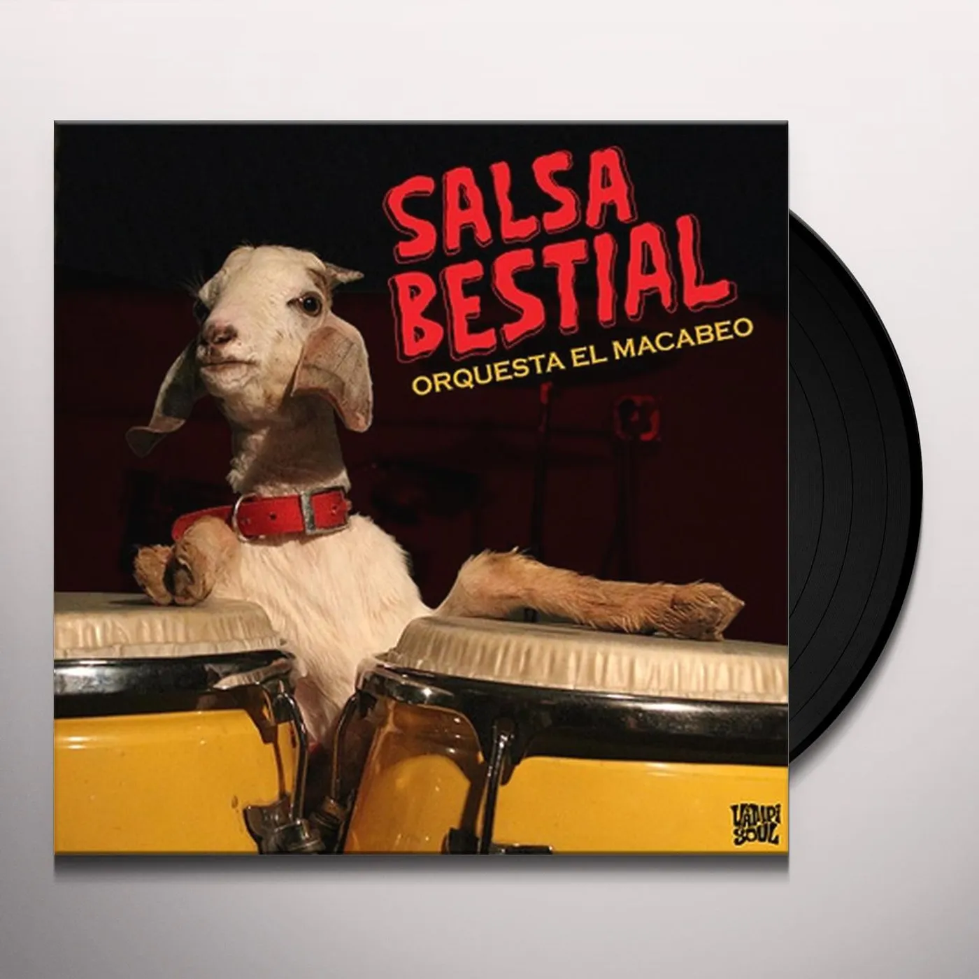 Orquesta el Macabeo Salsa Bestial Vinyl Record