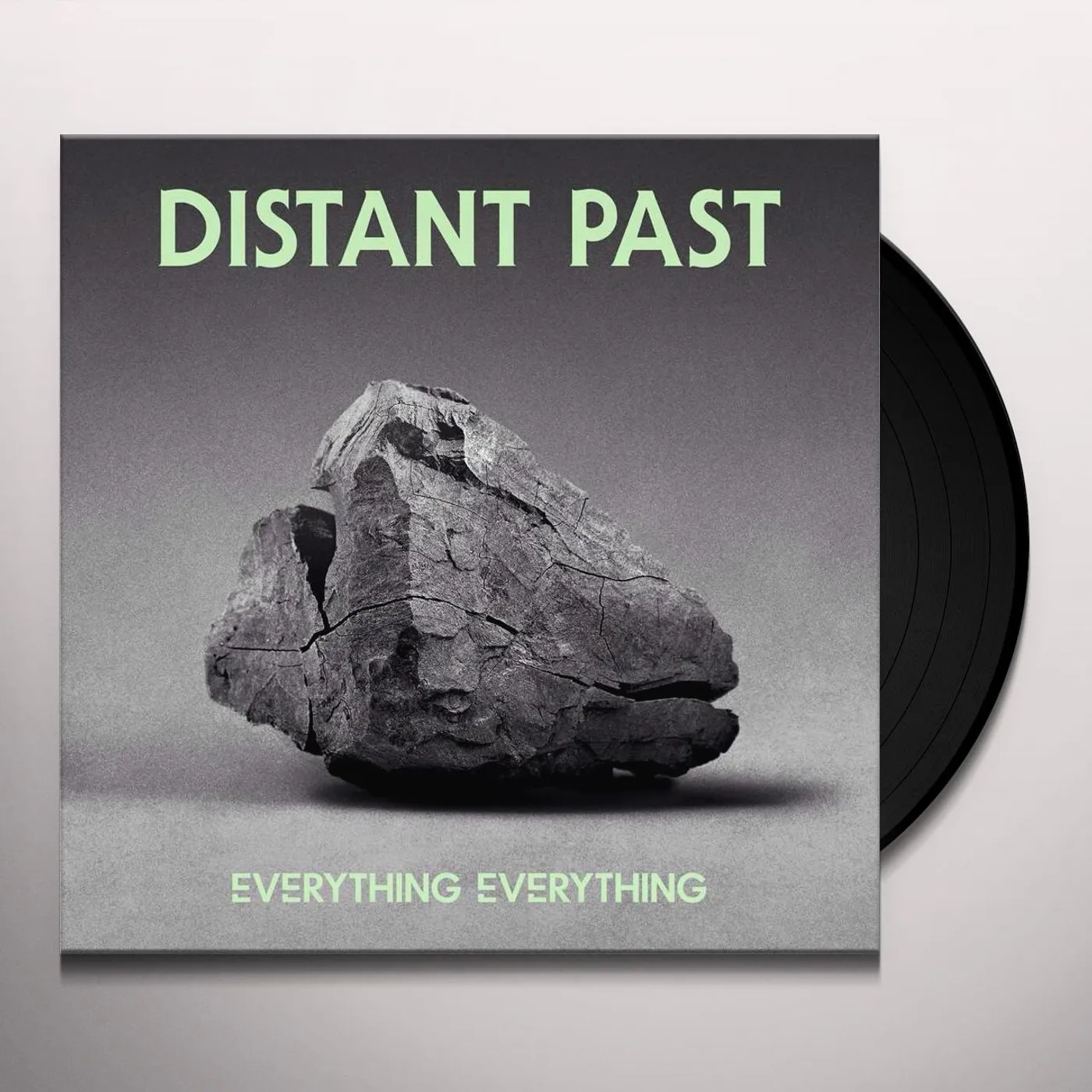 Everything Everything DISTANT PAST Vinyl Record - UK Release