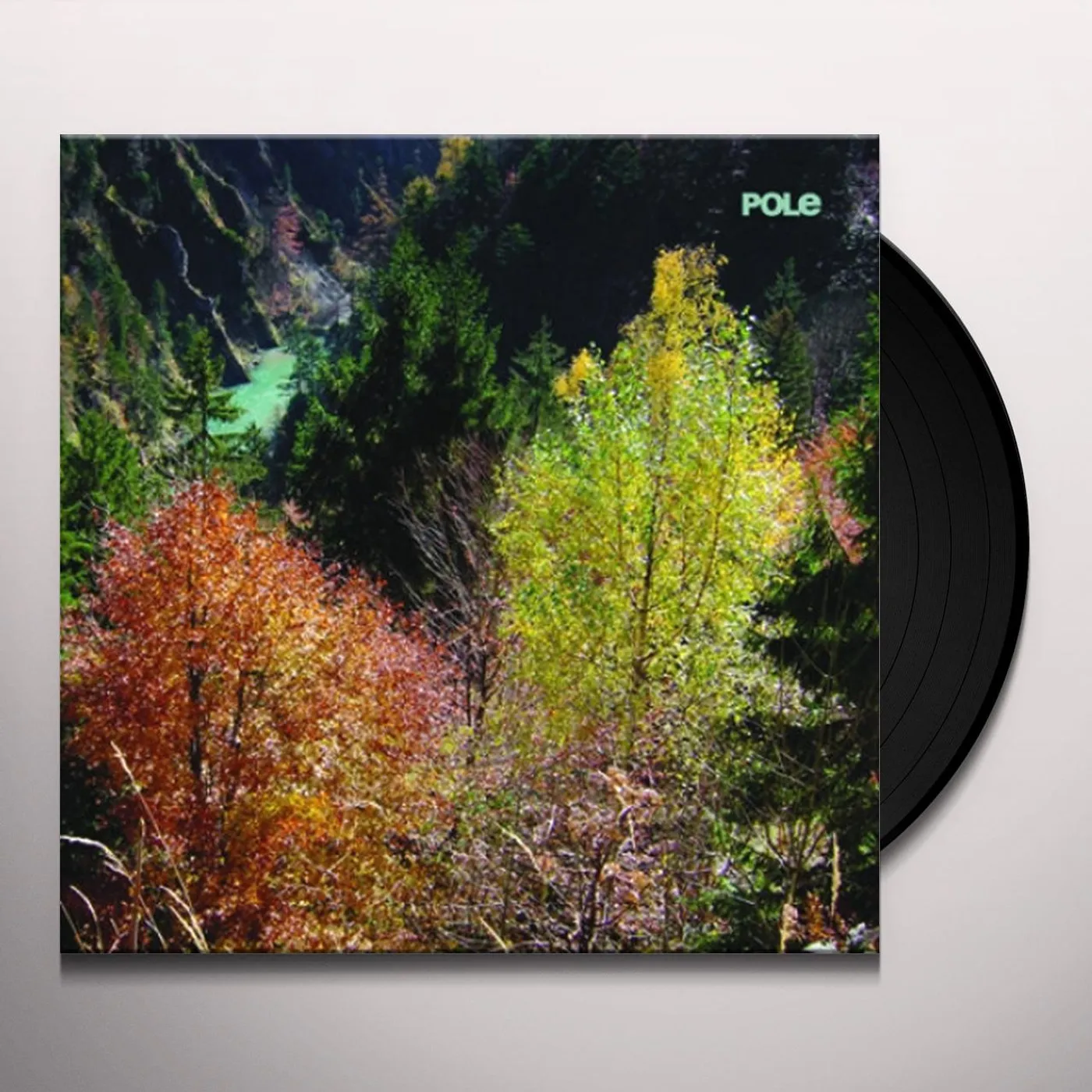 Pole Wald Vinyl Record