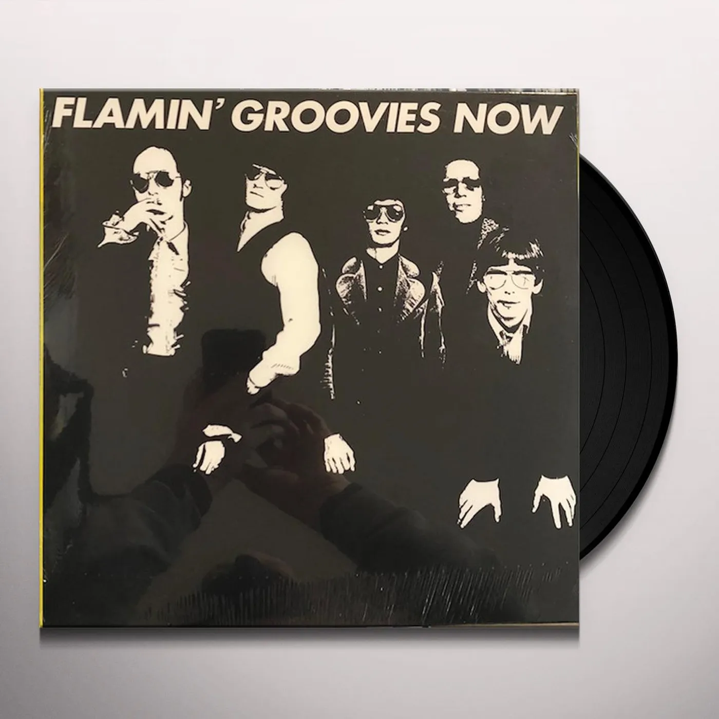 Flamin' Groovies Now Vinyl Record