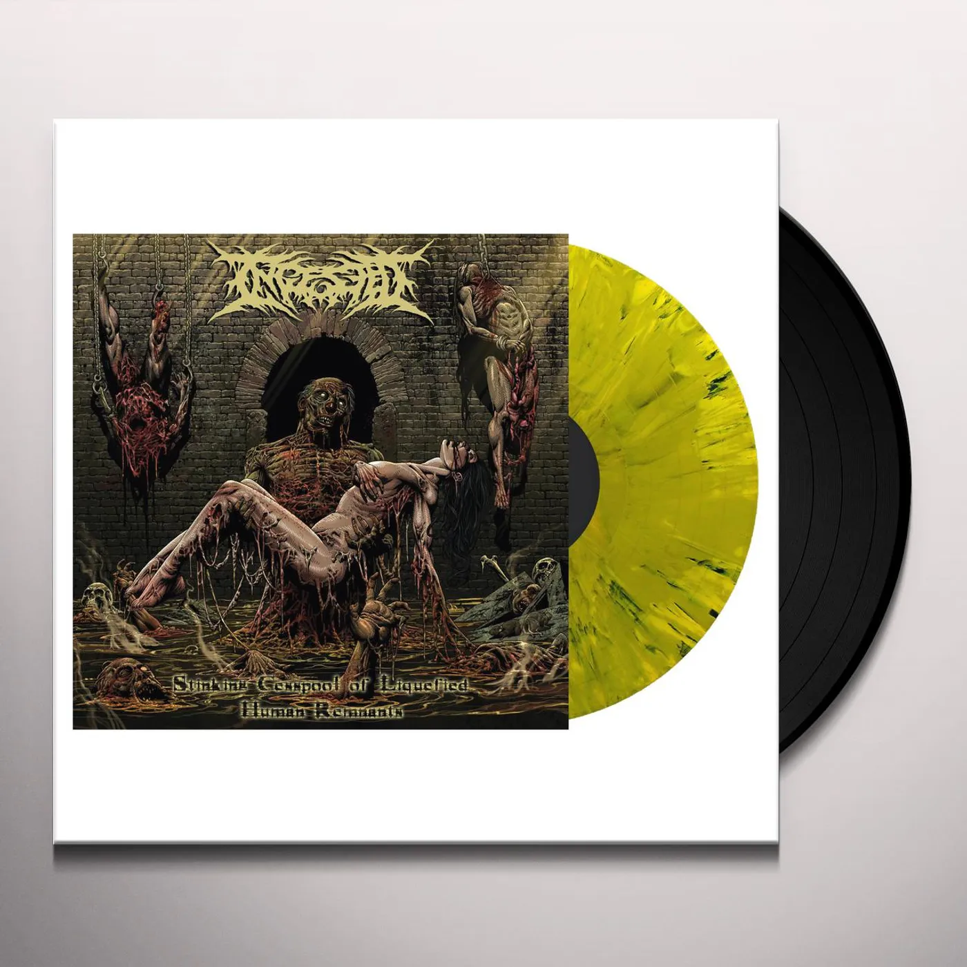 Ingested STINKING CESSPOOL OF LIQUIFIED HUMAN REMNANTS Vinyl Record