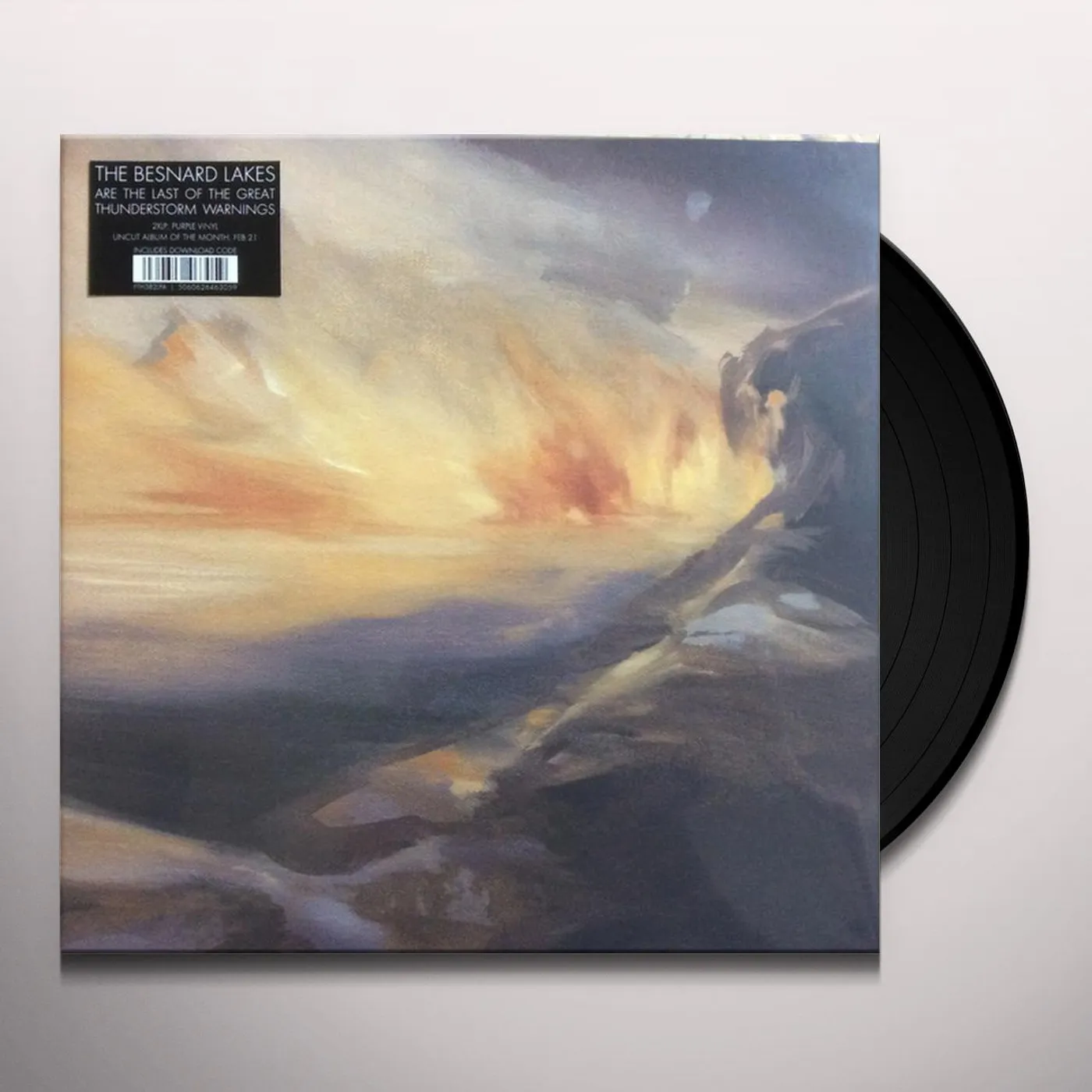 The Besnard Lakes ARE THE LAST OF Vinyl Record