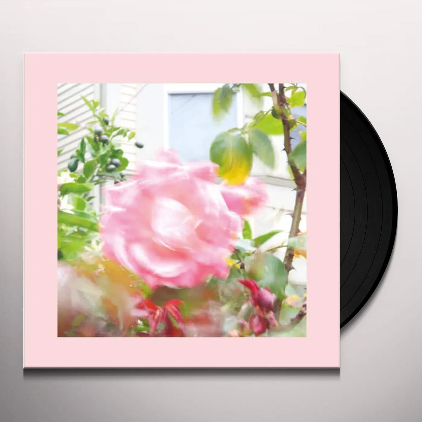 The Reds, Pinks and Purples Summer at Land's End Vinyl Record