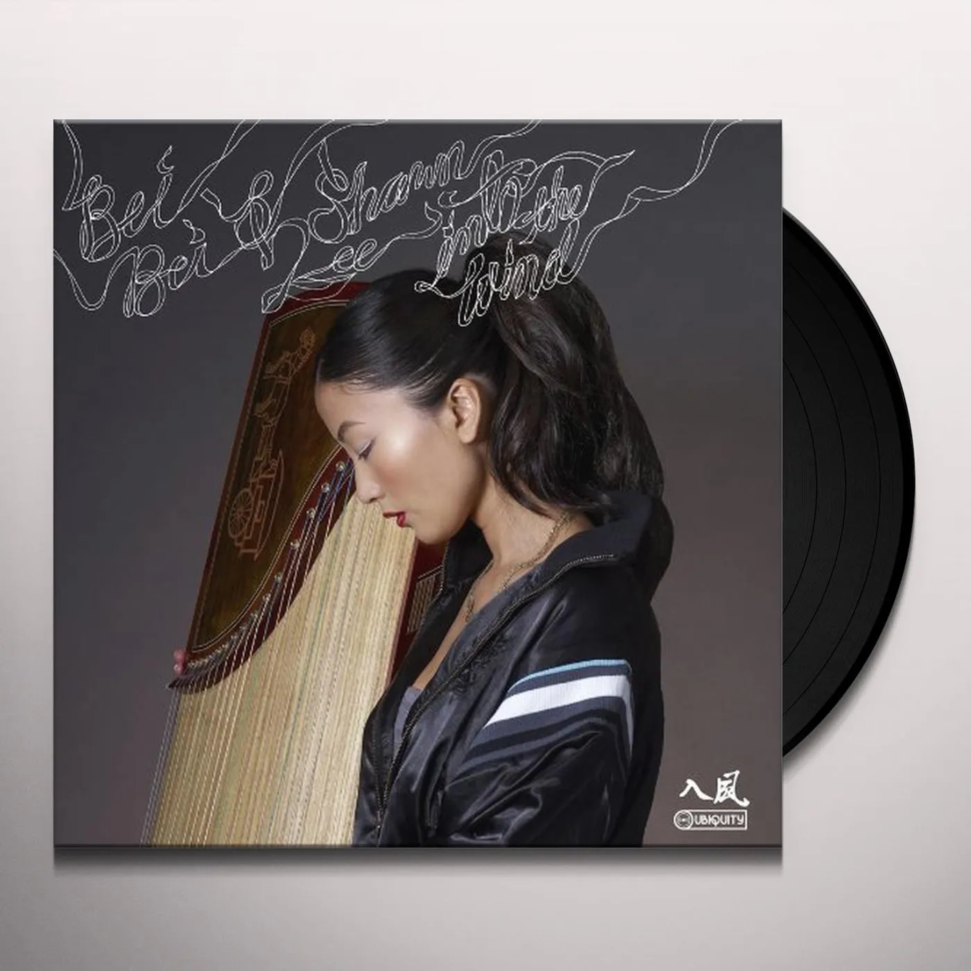 Bei Bei & Shawn Lee INTO THE WIND Vinyl Record