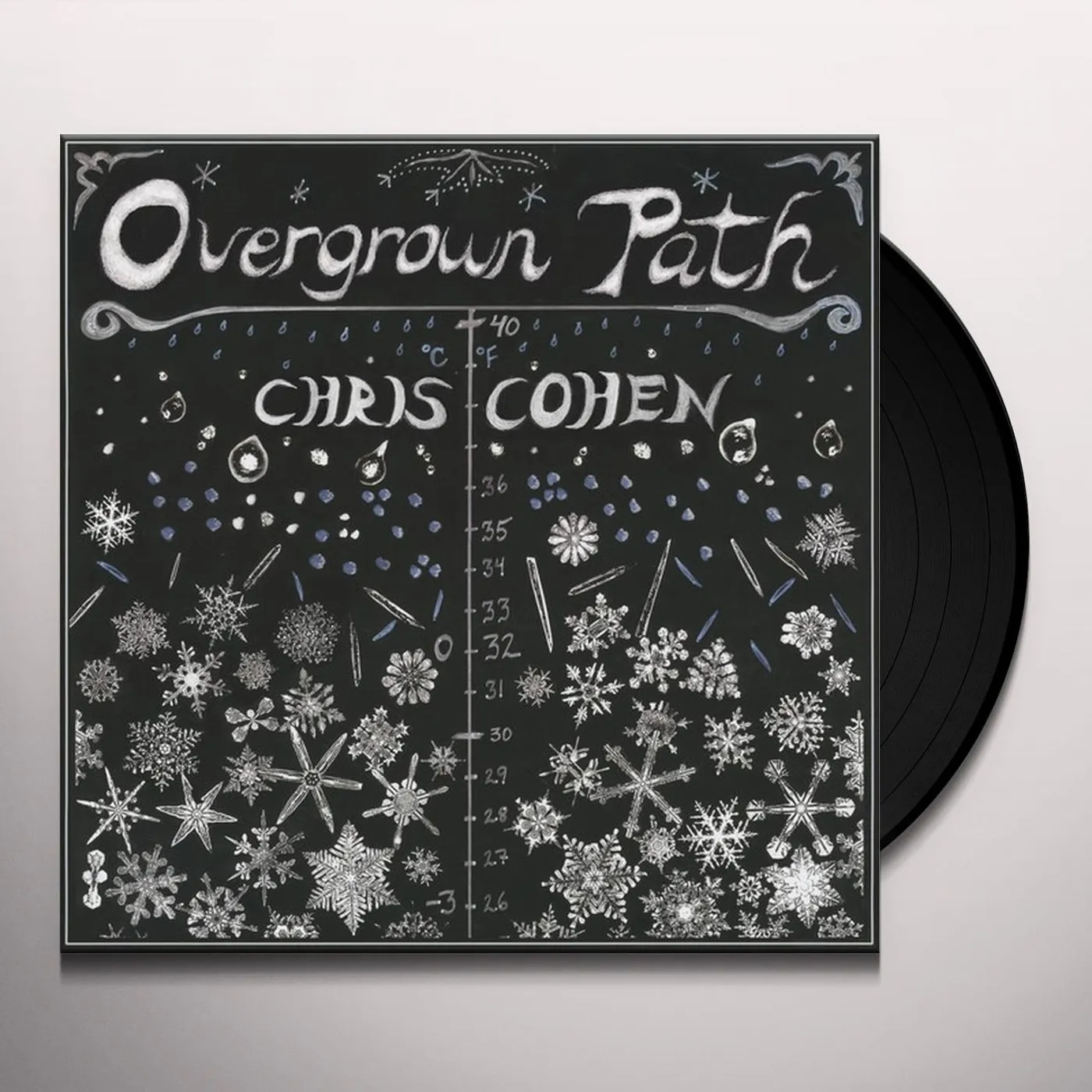 Chris Cohen Overgrown Path Vinyl Record