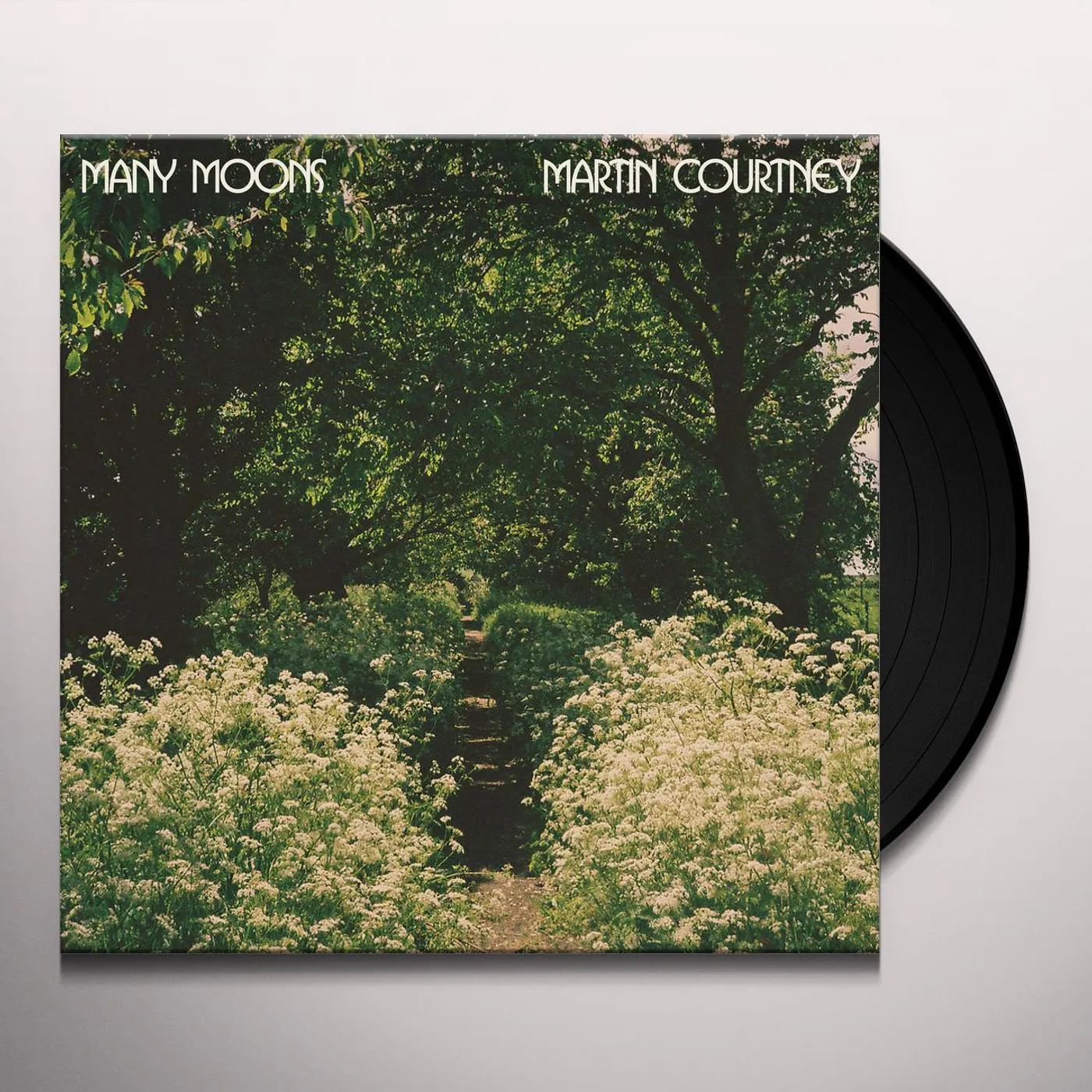 Martin Courtney Many Moons Vinyl Record