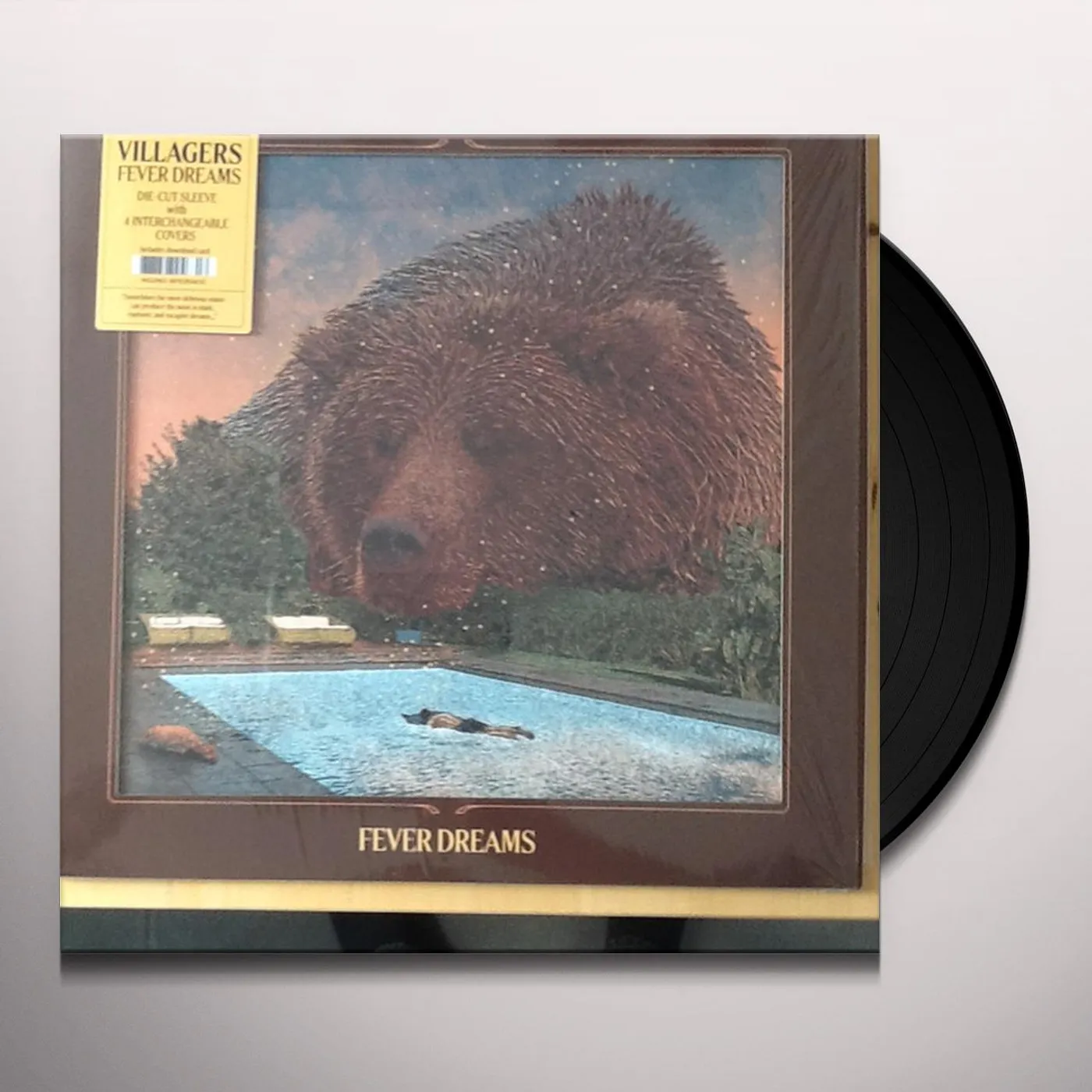 Villagers Fever Dreams Vinyl Record