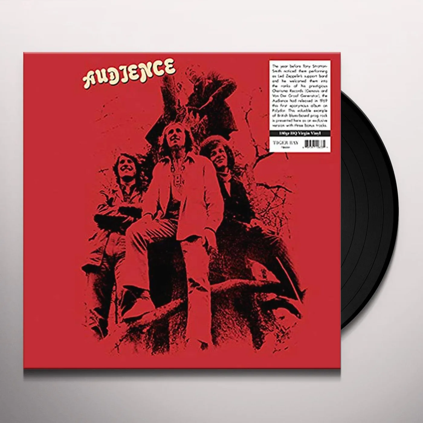 Audience Vinyl Record
