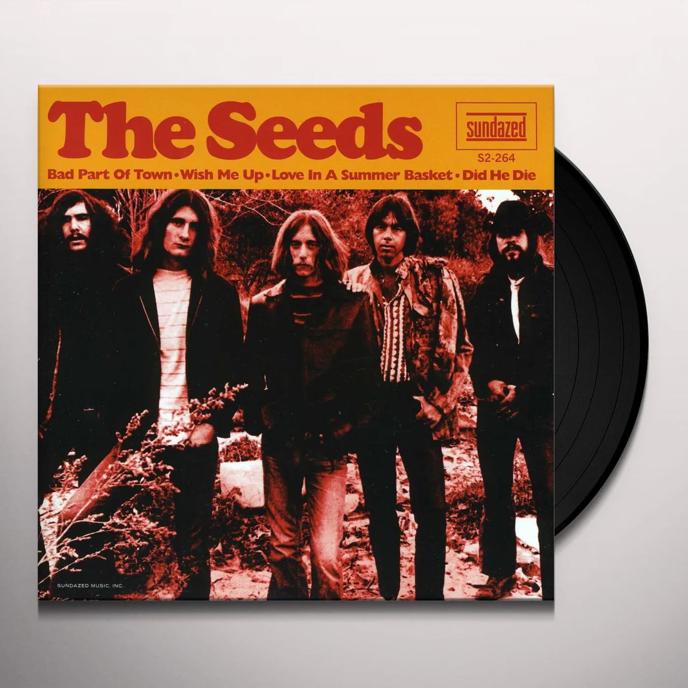 Seeds BAD PART OF TOWN Vinyl Record