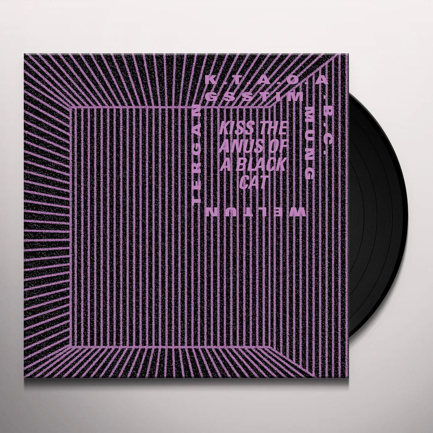 kiss the anus of a black cat WELTINTERGANGSSTIMMUNG Vinyl Record