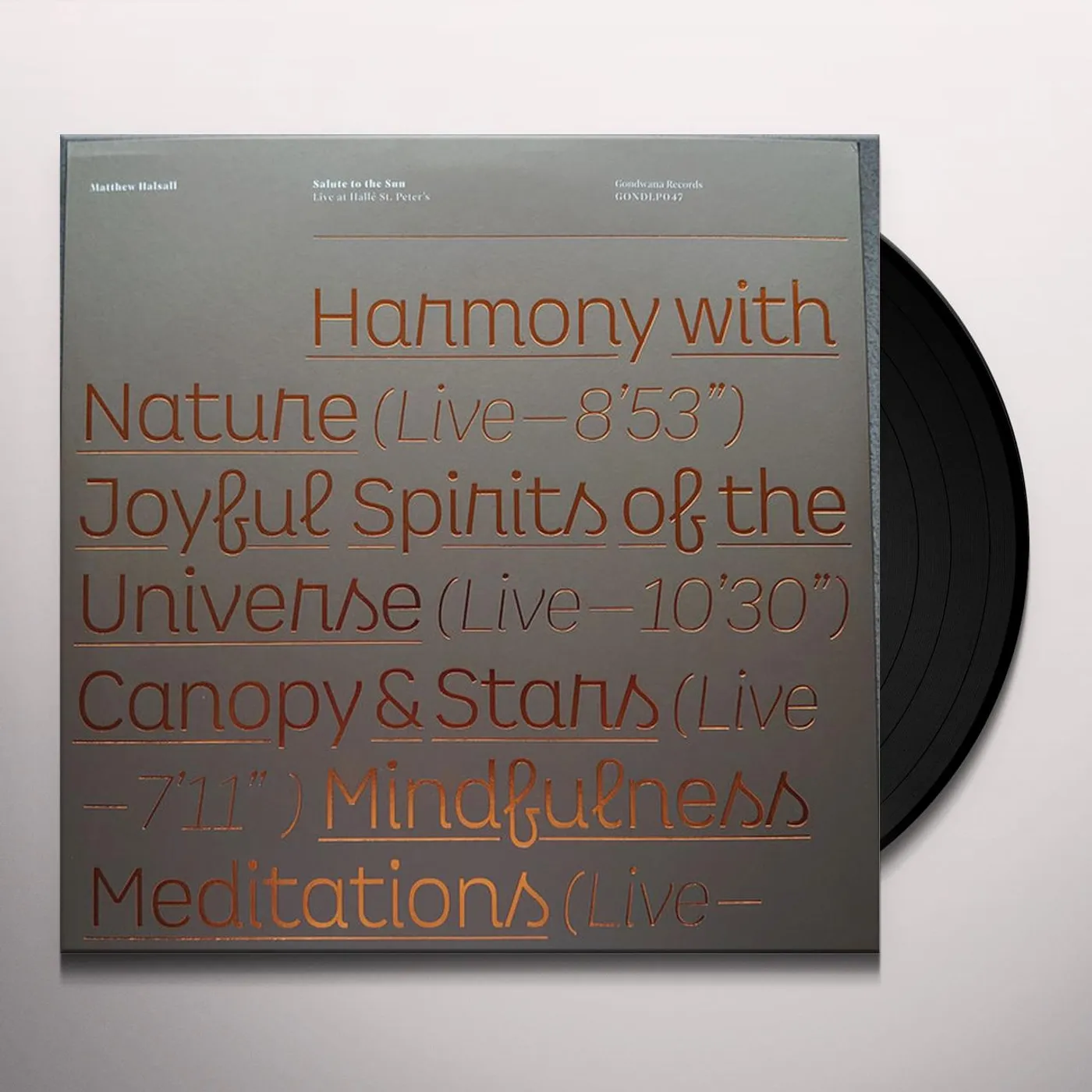 Matthew Halsall SALUTE TO THE SUN LIVE AT HALLE ST. PETER'S Vinyl Record