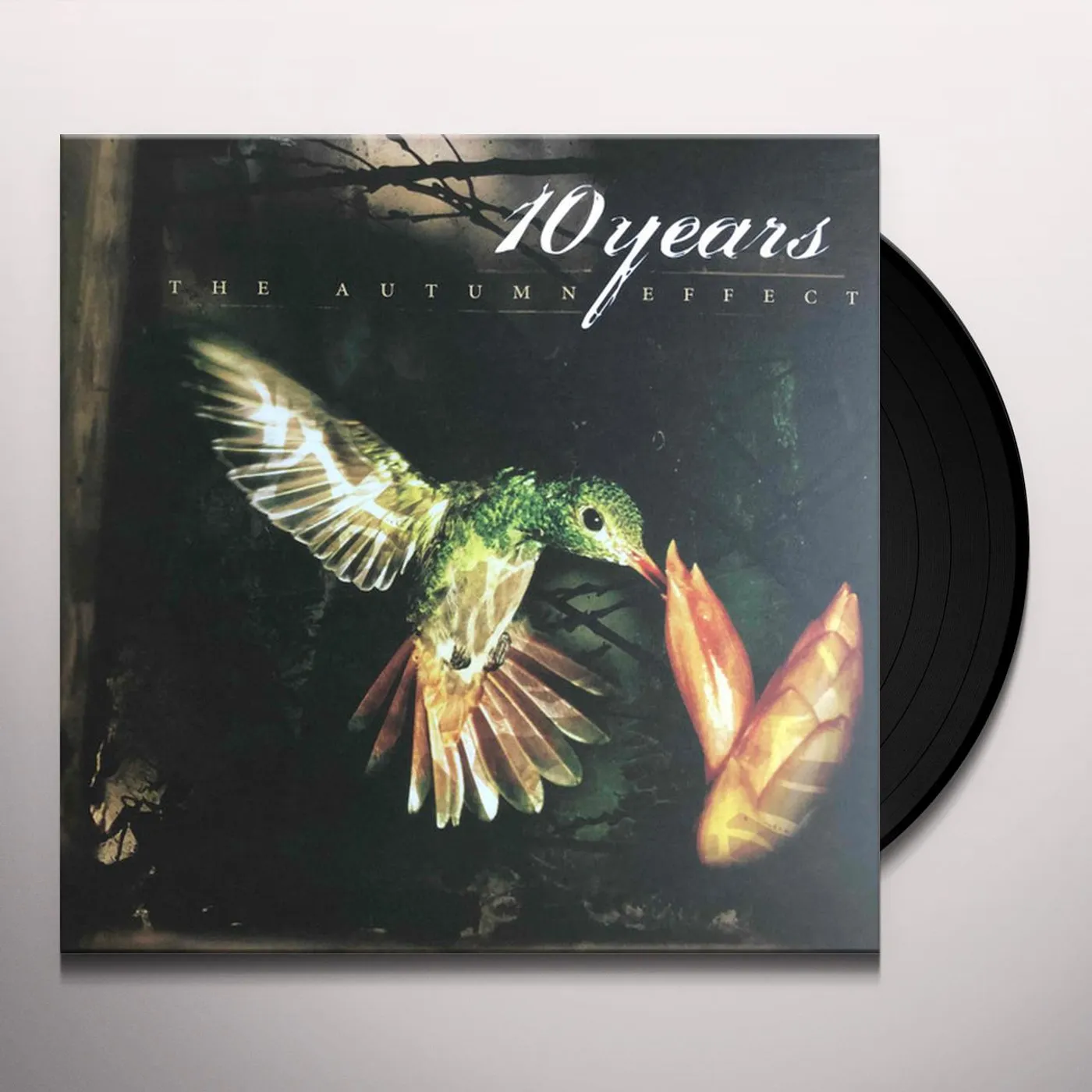 10 Years AUTUMN EFFECT (180G) Vinyl Record