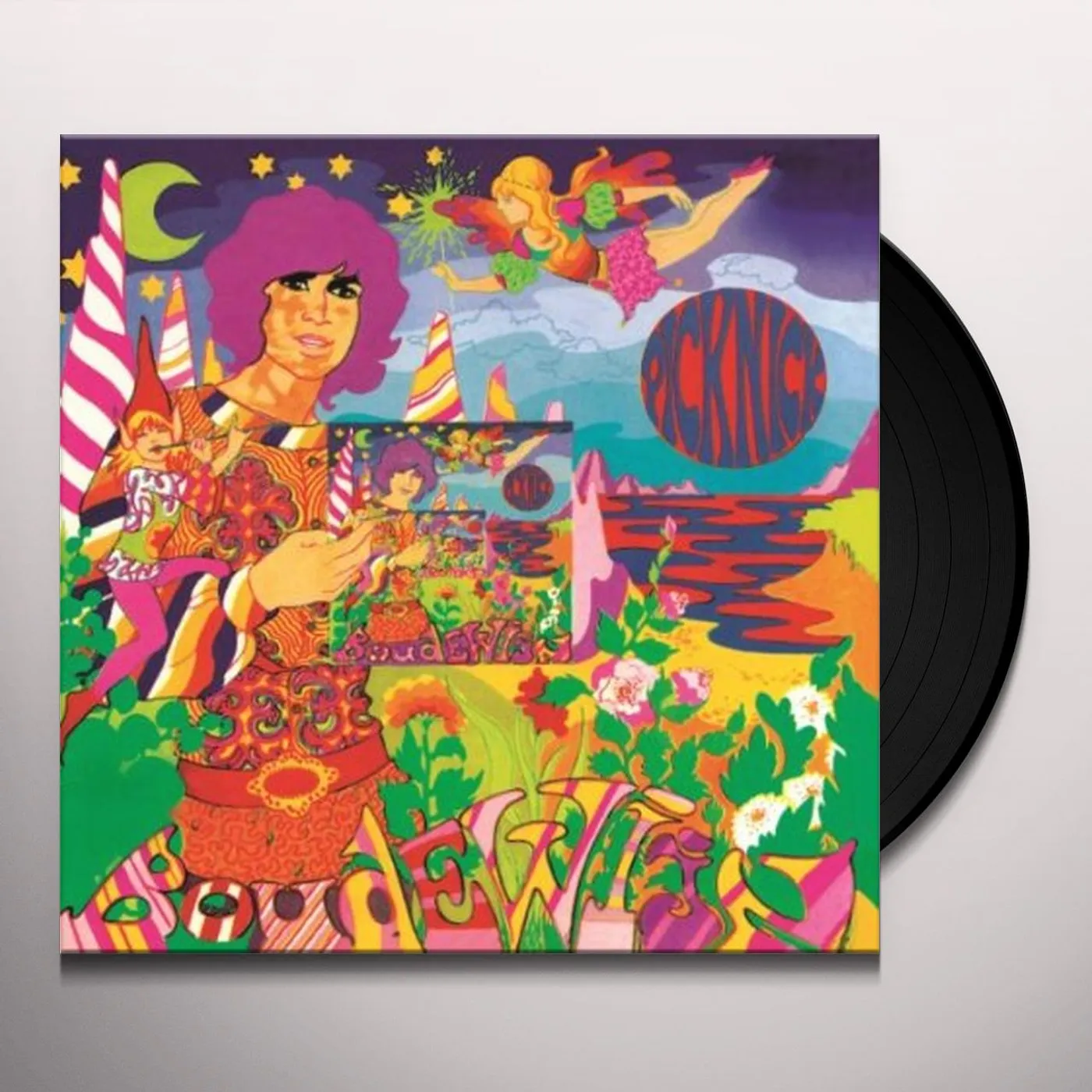 Boudewijn de Groot PICKNICK Vinyl Record - 180 Gram Pressing