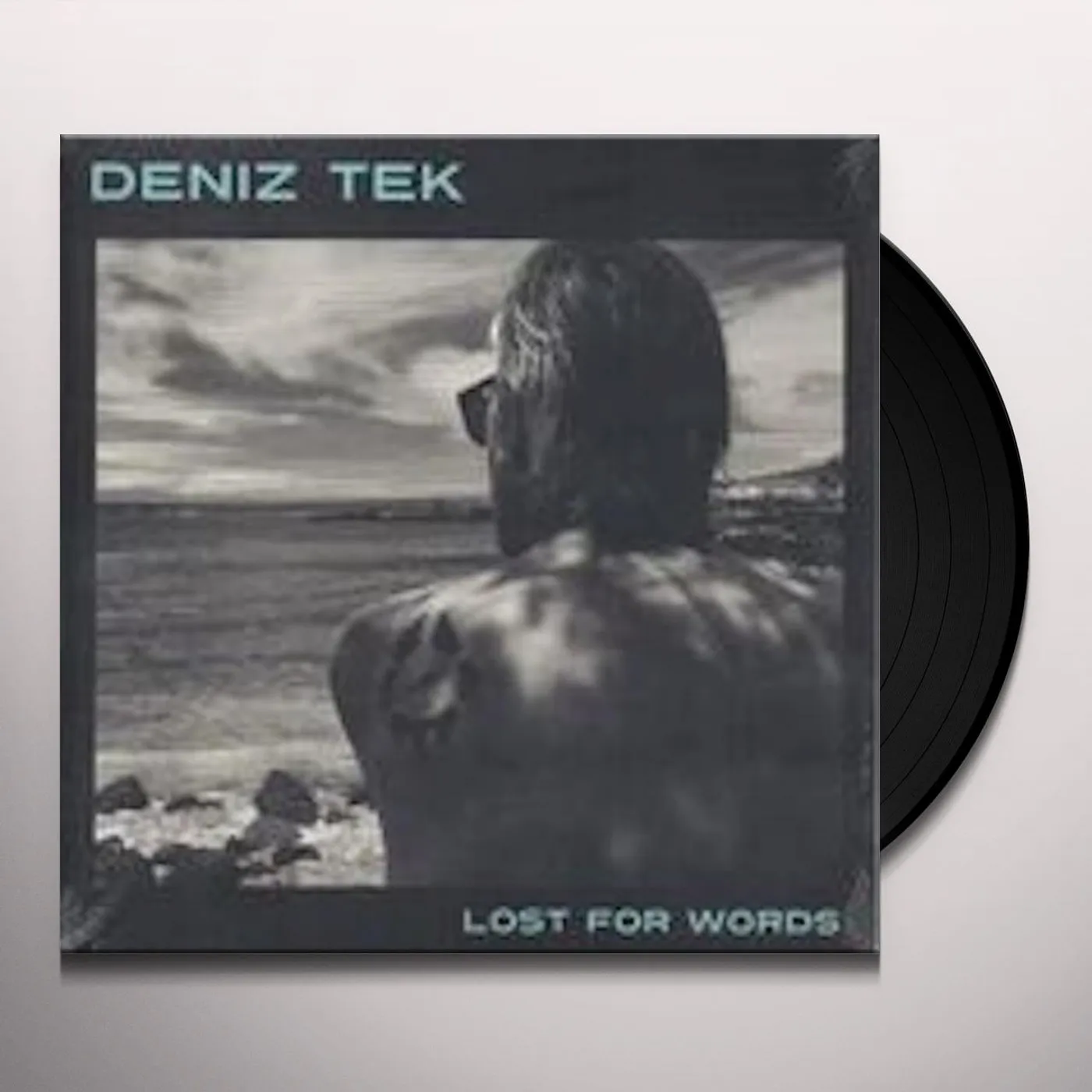 Deniz Tek Lost for Words Vinyl Record