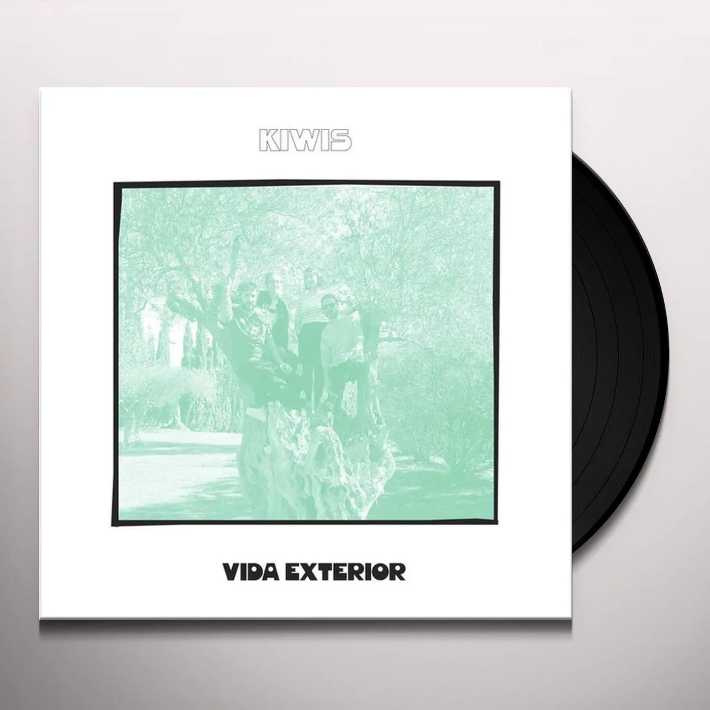 Kiwis Vida Exterior Vinyl Record