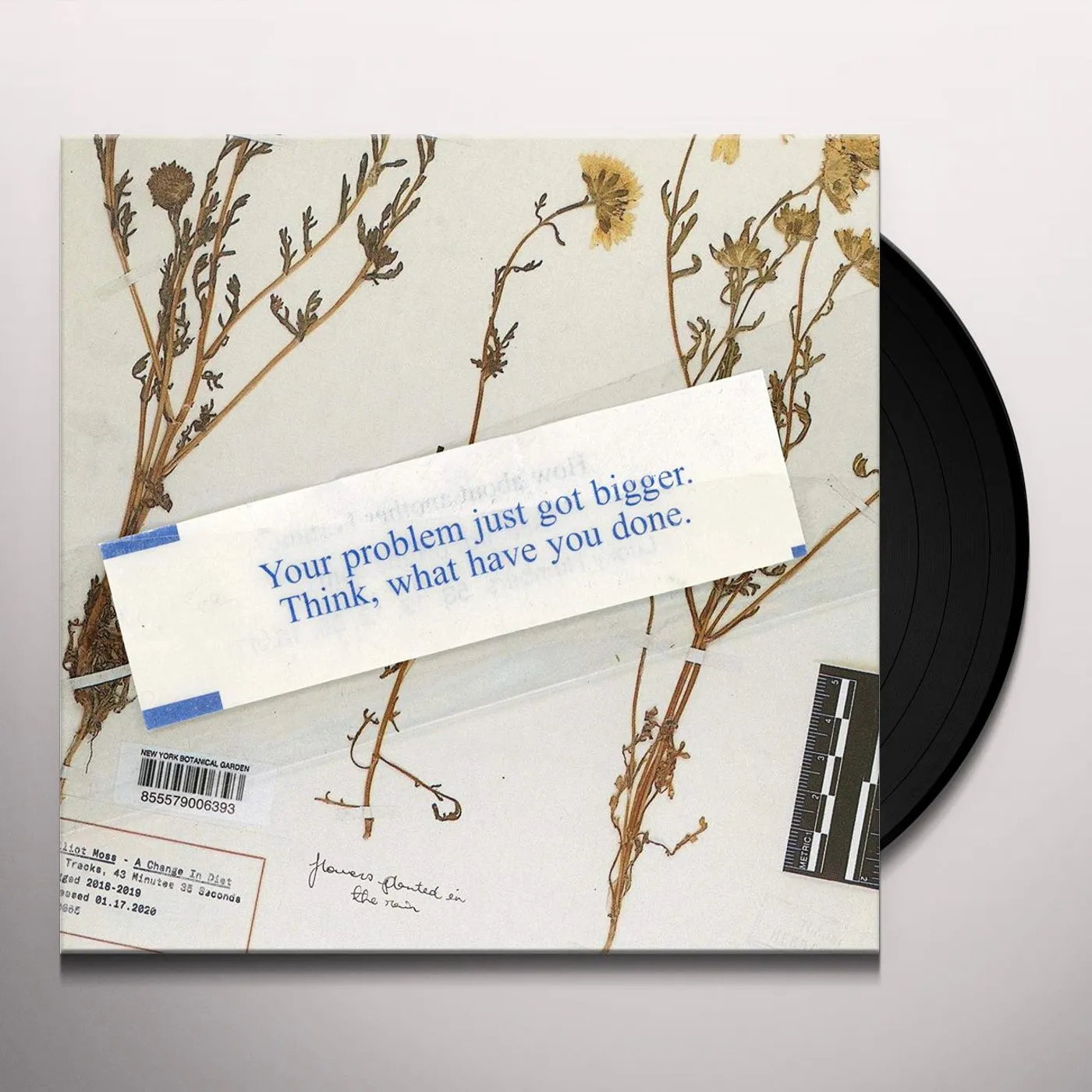 Elliot Moss CHANGE IN DIET Vinyl Record