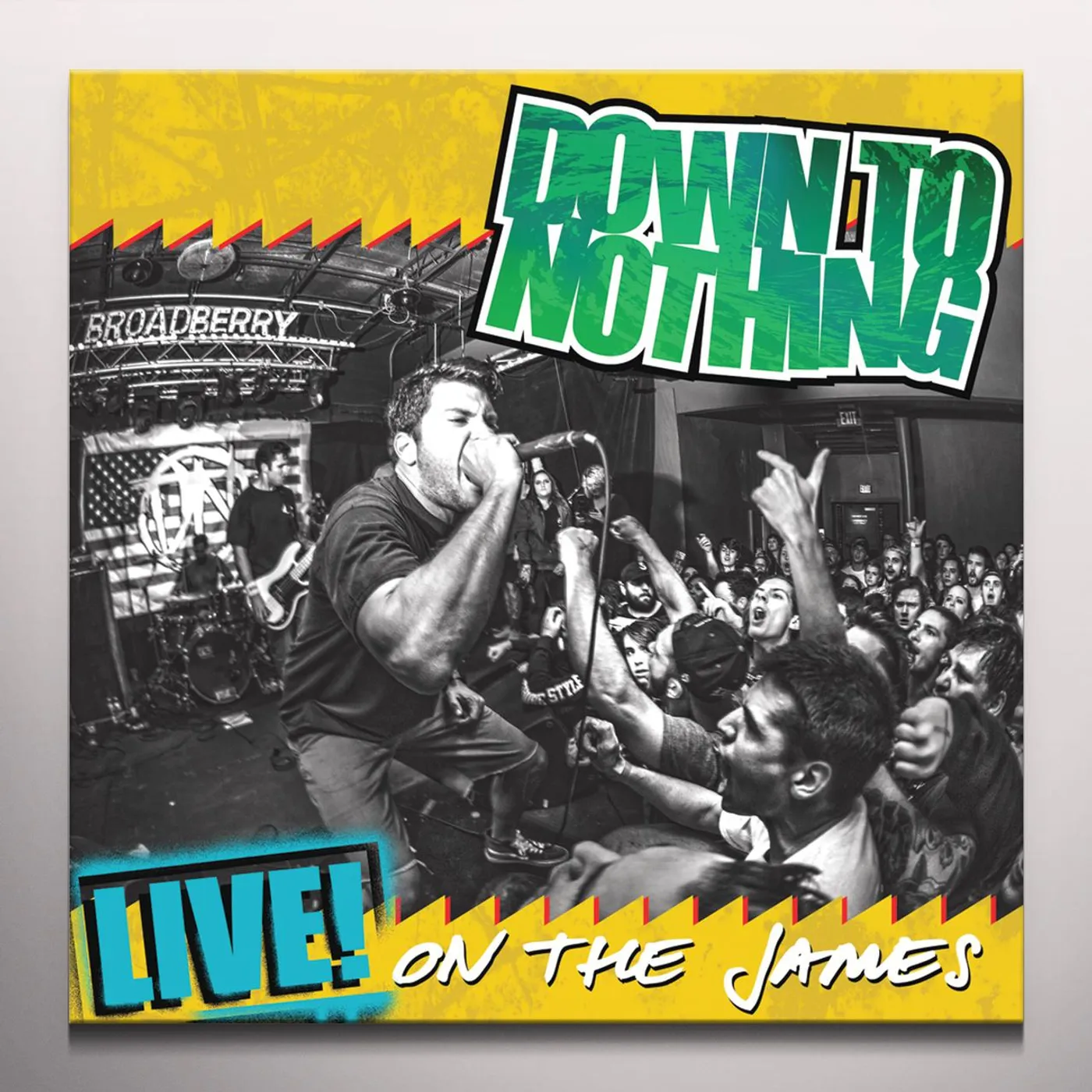 Down To Nothing LIVE ON THE JAMES Vinyl Record