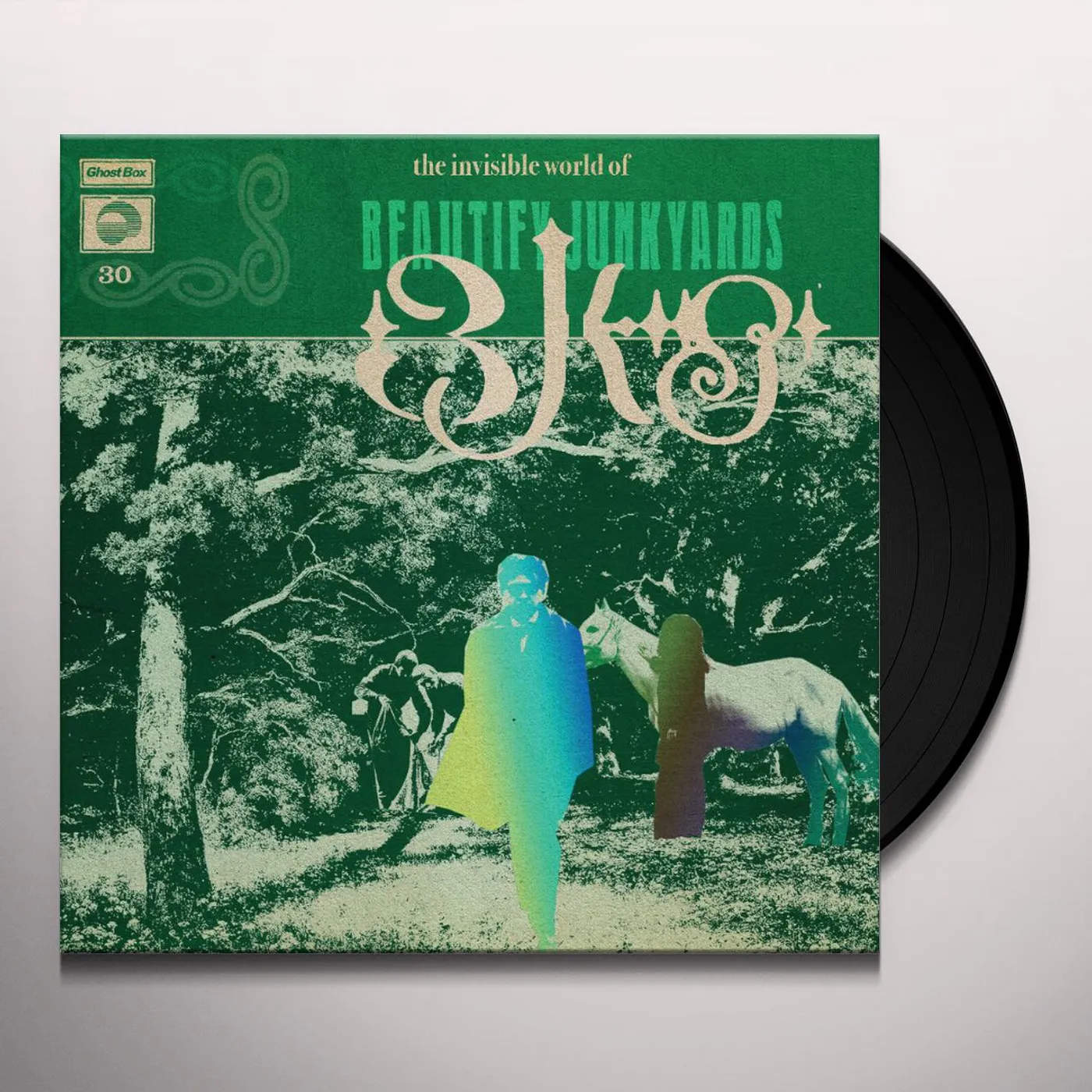 The Invisible World of Beautify Junkyards Vinyl Record