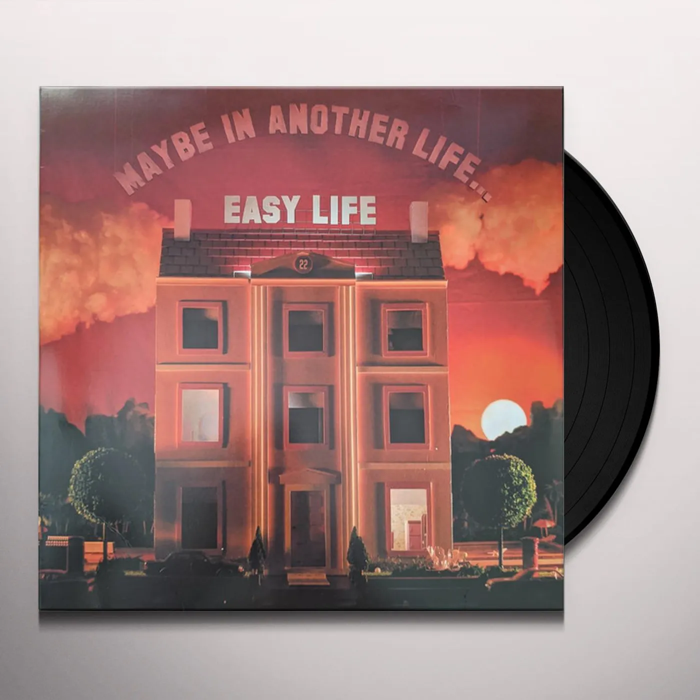 easy life MAYBE IN ANOTHER LIFE Vinyl Record