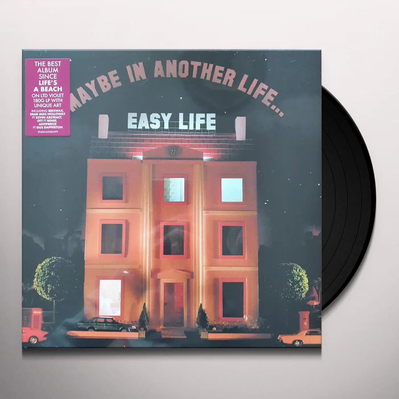 easy life MAYBE IN ANOTHER LIFE Vinyl Record