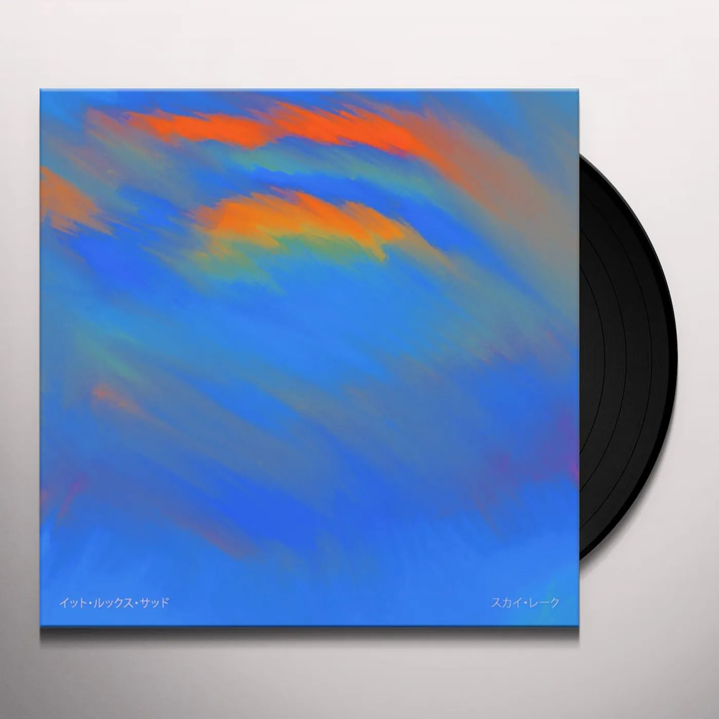 It Looks Sad. Sky Lake Vinyl Record