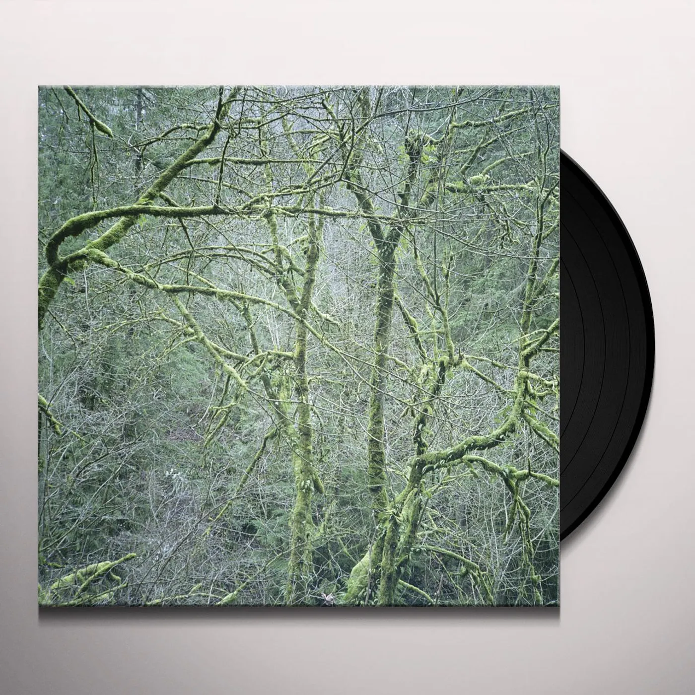 Six Organs Of Admittance Dust & Chimes Vinyl Record