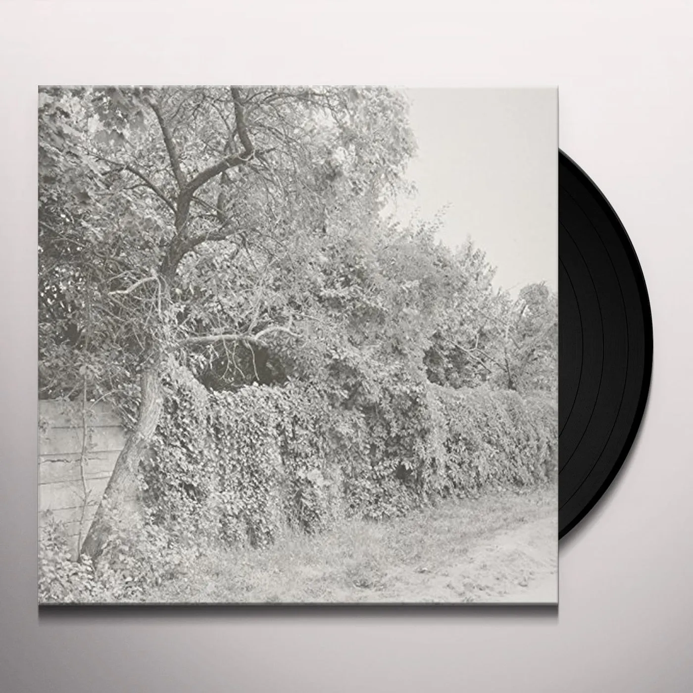 Seth Schwarz Jabel Vinyl Record