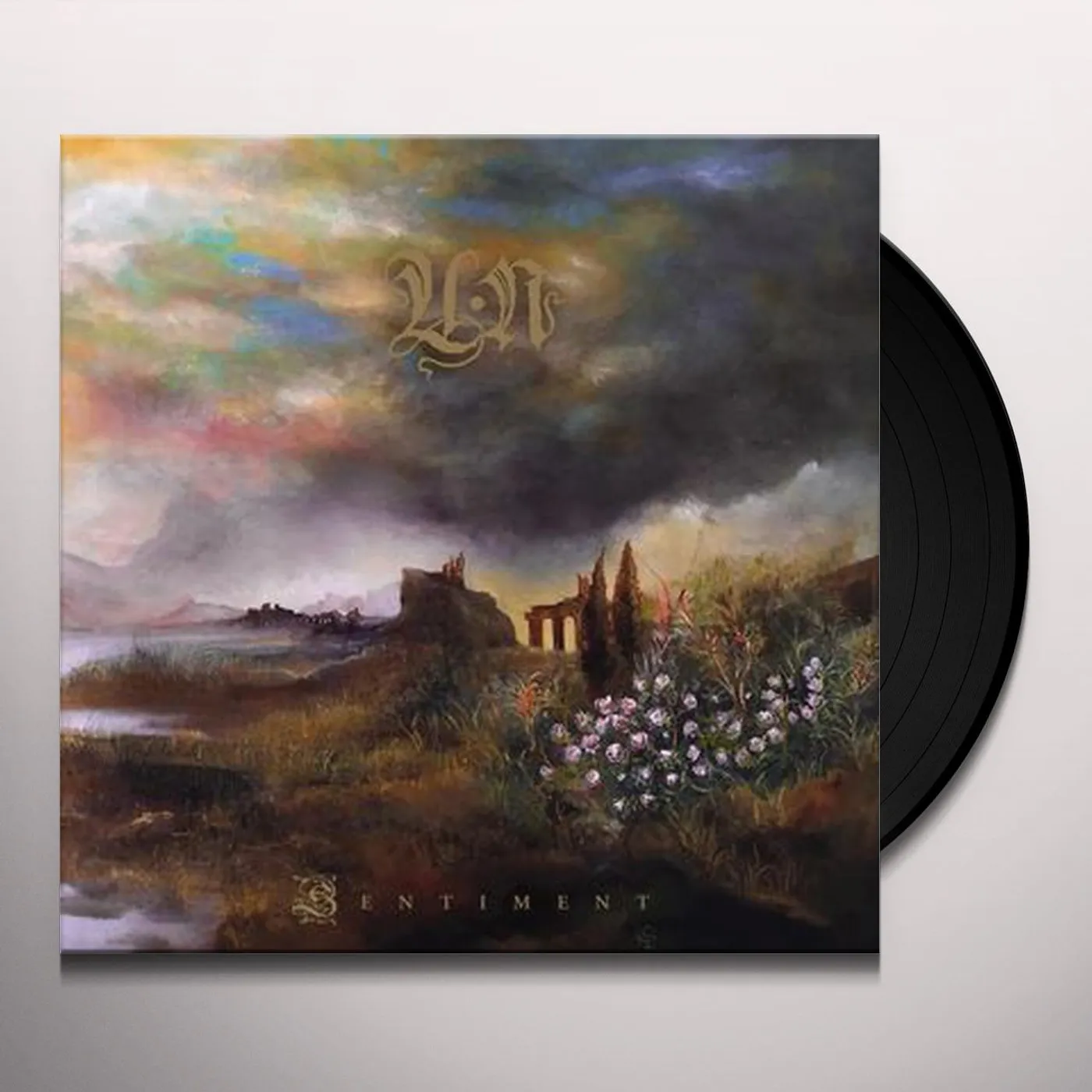 Un SENTIMENT Vinyl Record