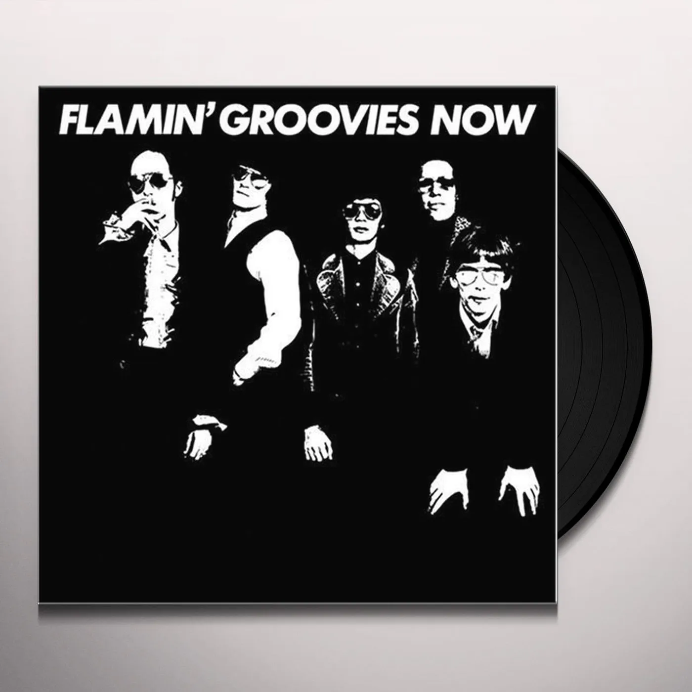 Flamin' Groovies Now Vinyl Record