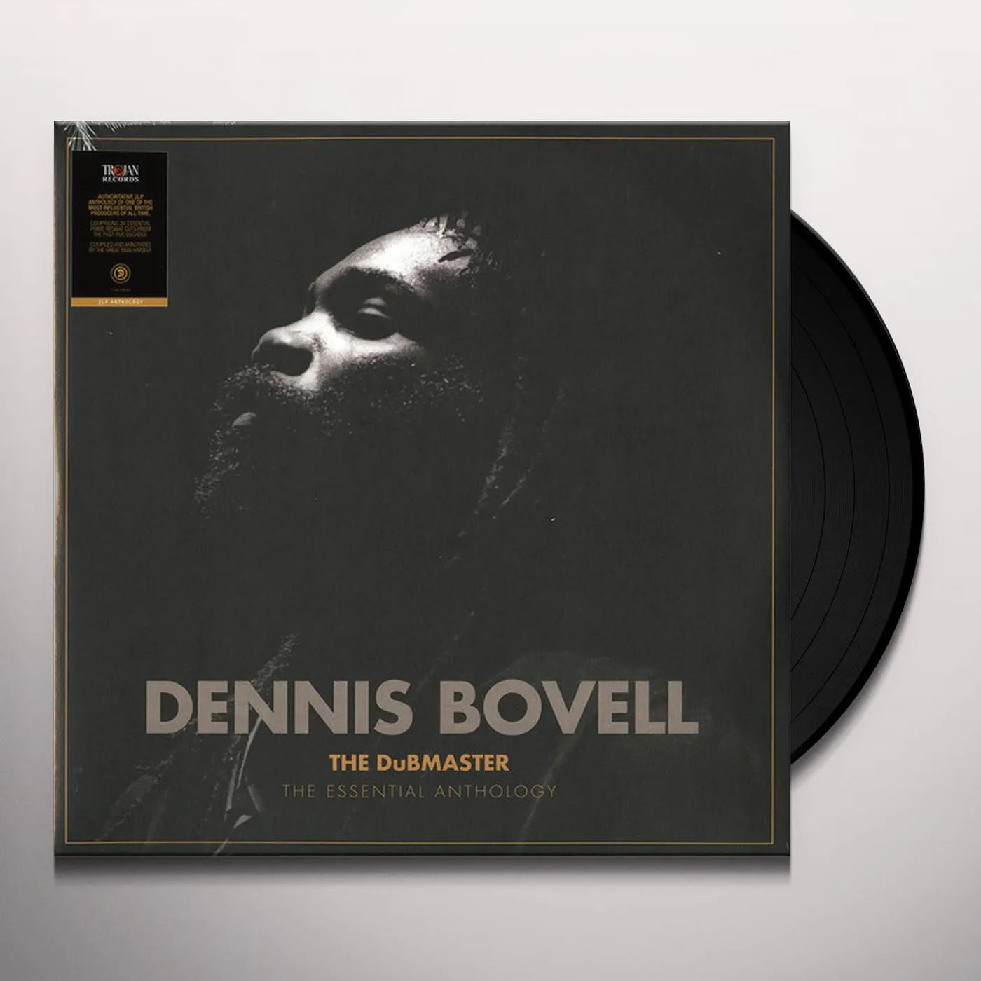 Dennis Bovell DUBMASTER: THE ESSENTIAL ANTHOLOGY (2LP) Vinyl Record