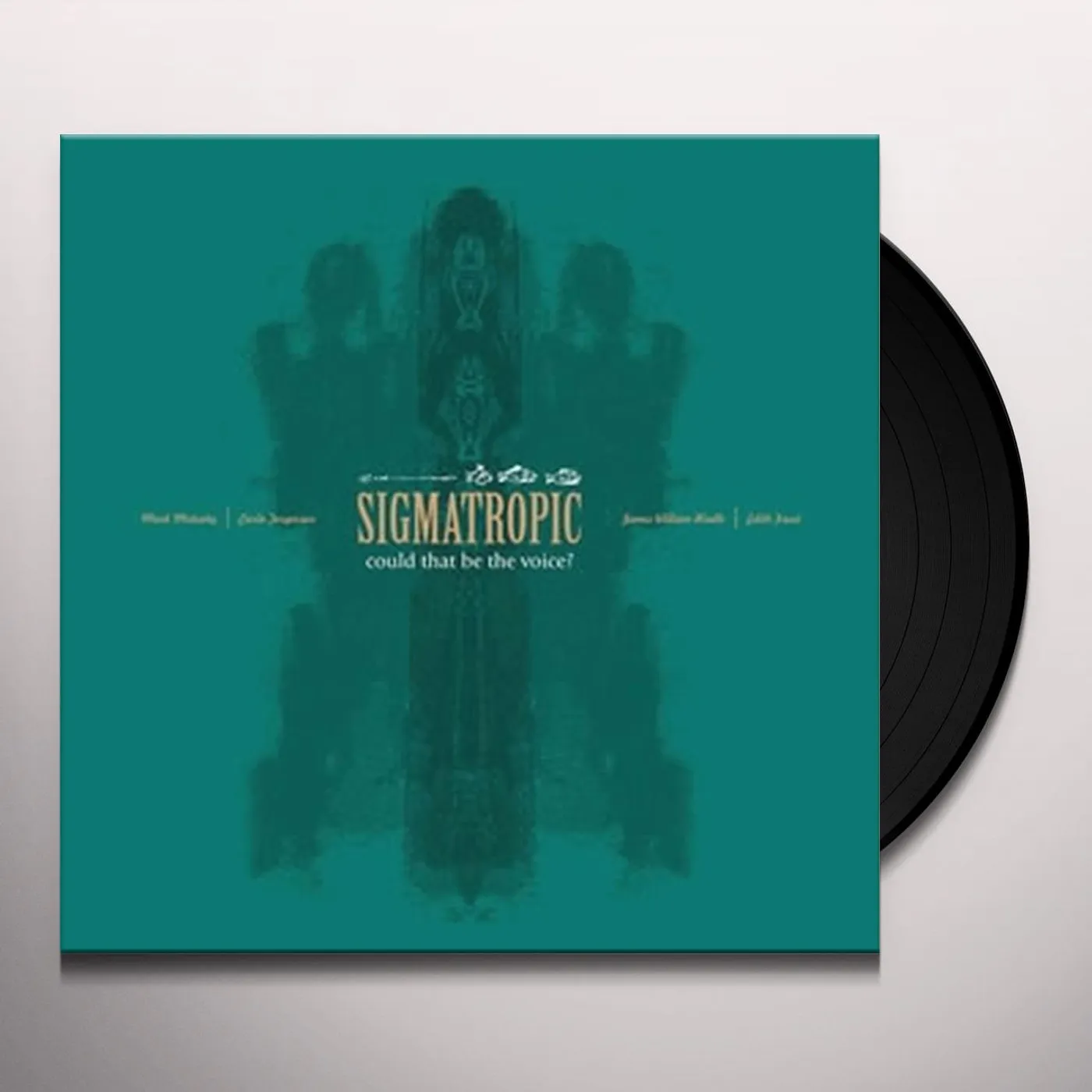 Sigmatropic COULD THAT BE THE VOICE Vinyl Record