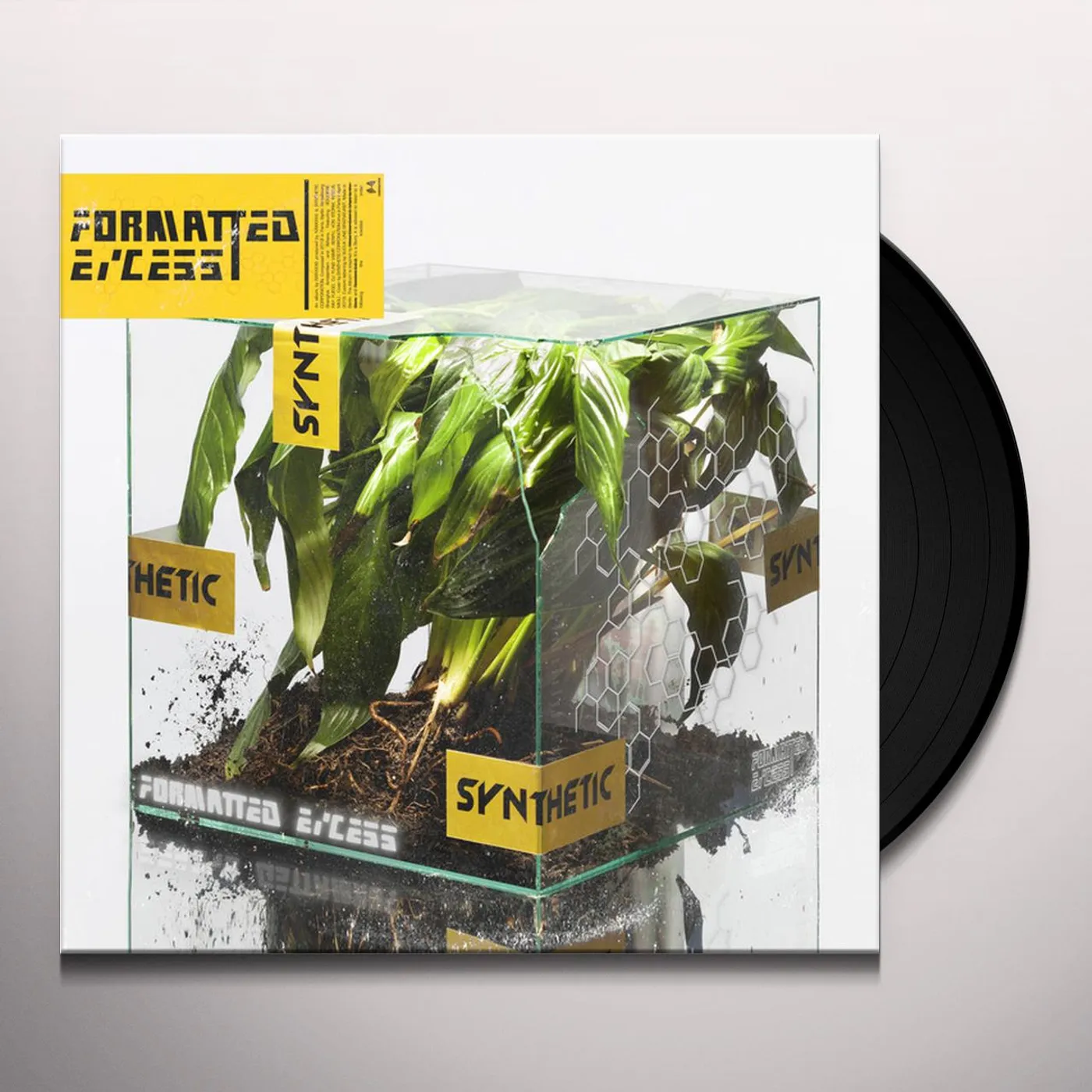 NxxxxxS Formatted Excess Vinyl Record